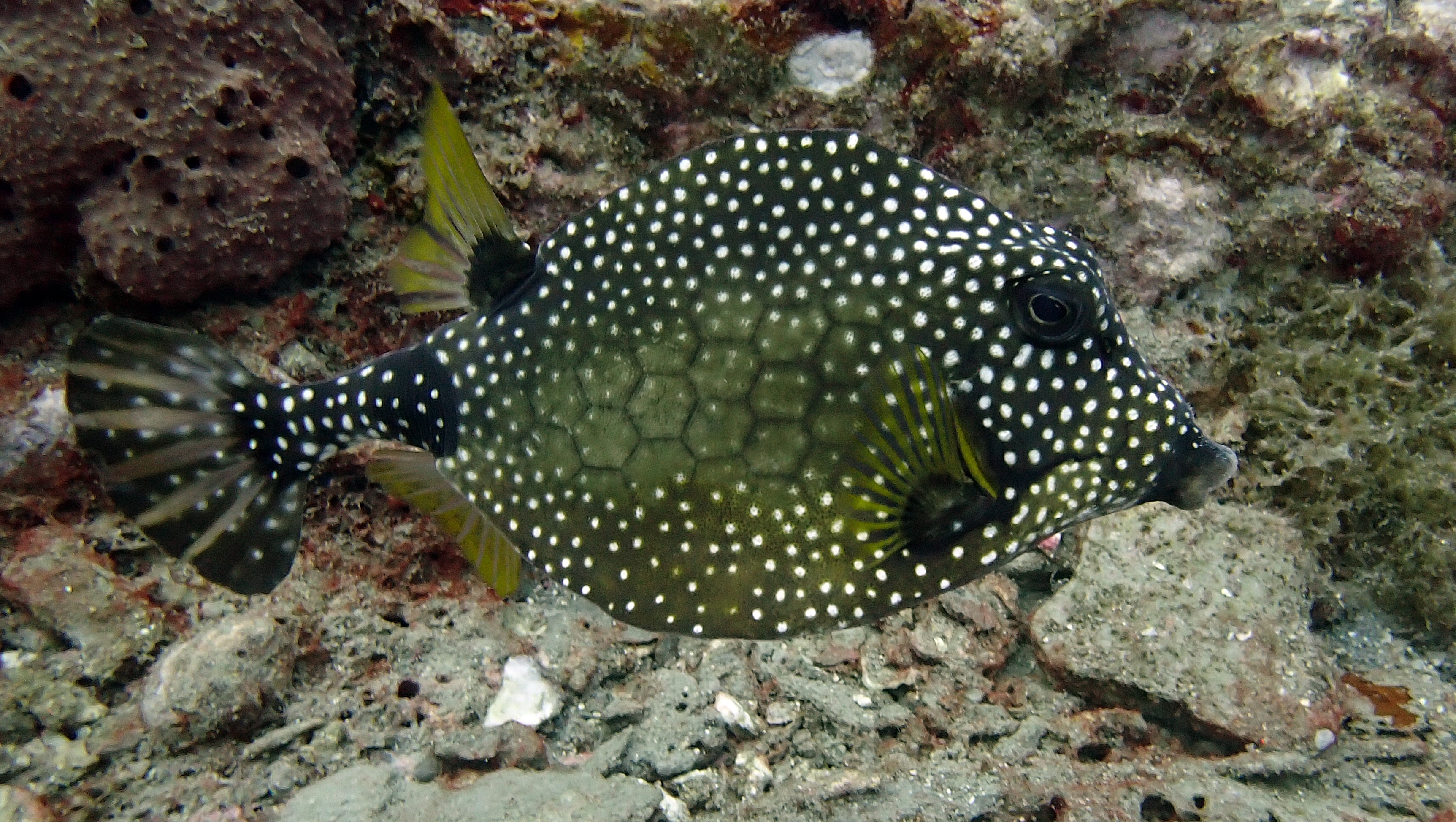 P5280112.JPG