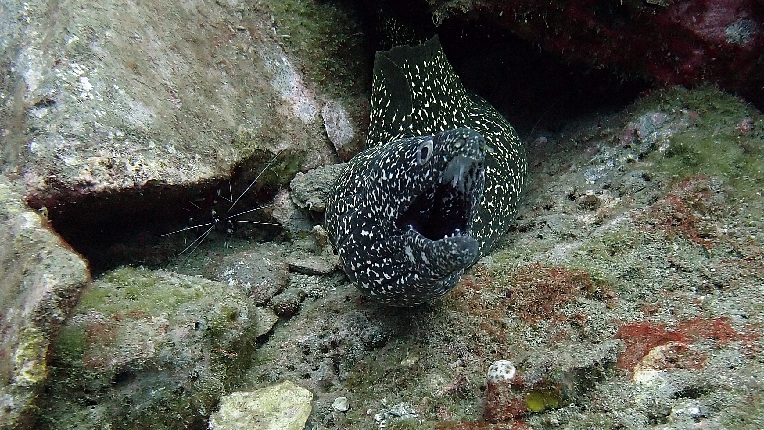 P5280129.JPG