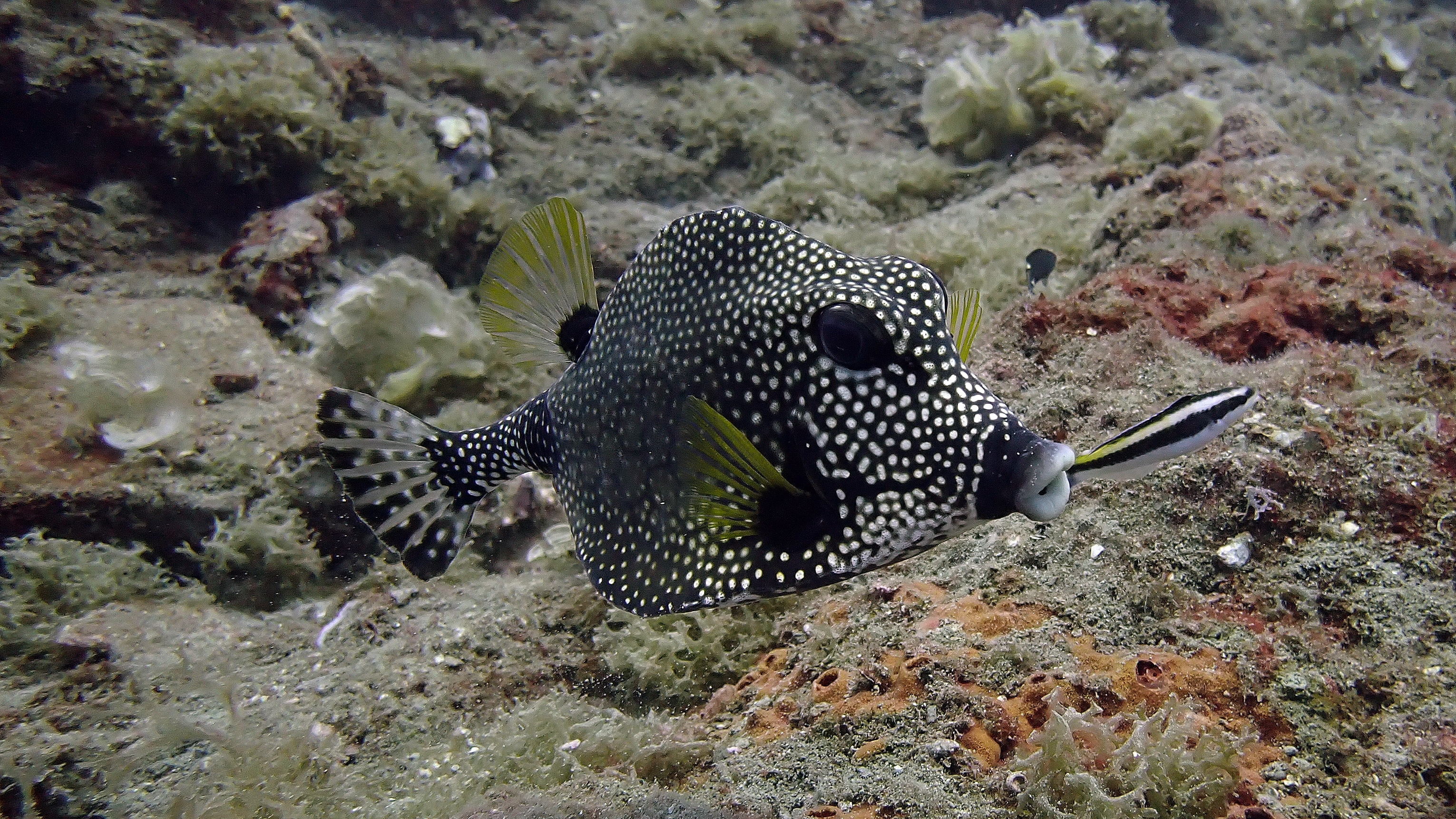 P5290178.JPG