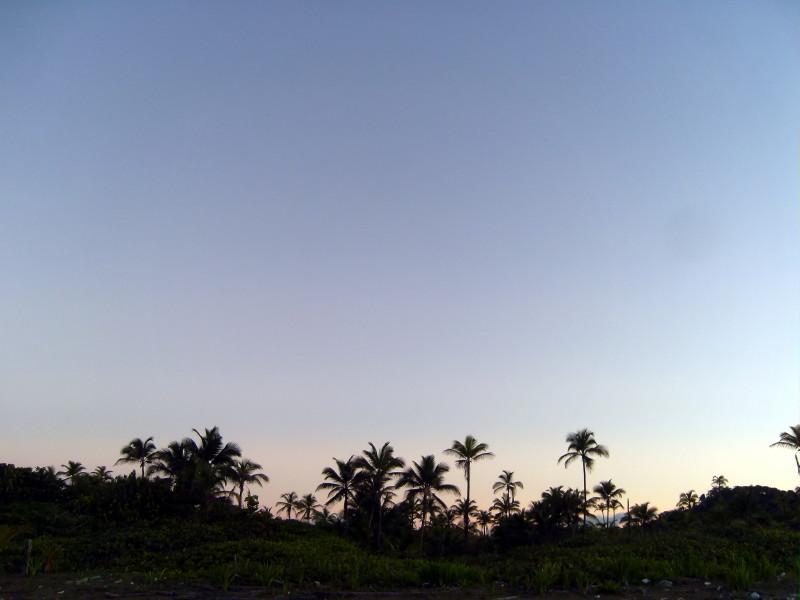 Panama 5