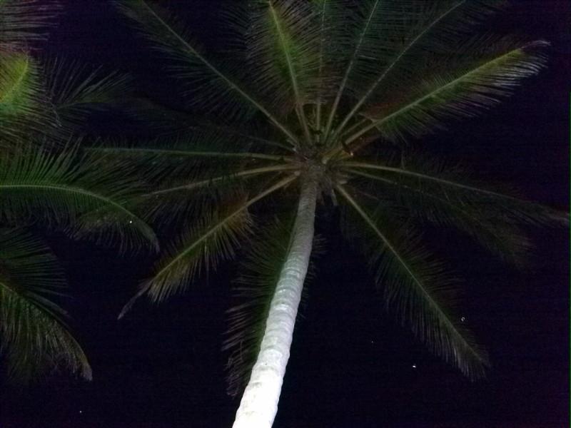 Panama 6