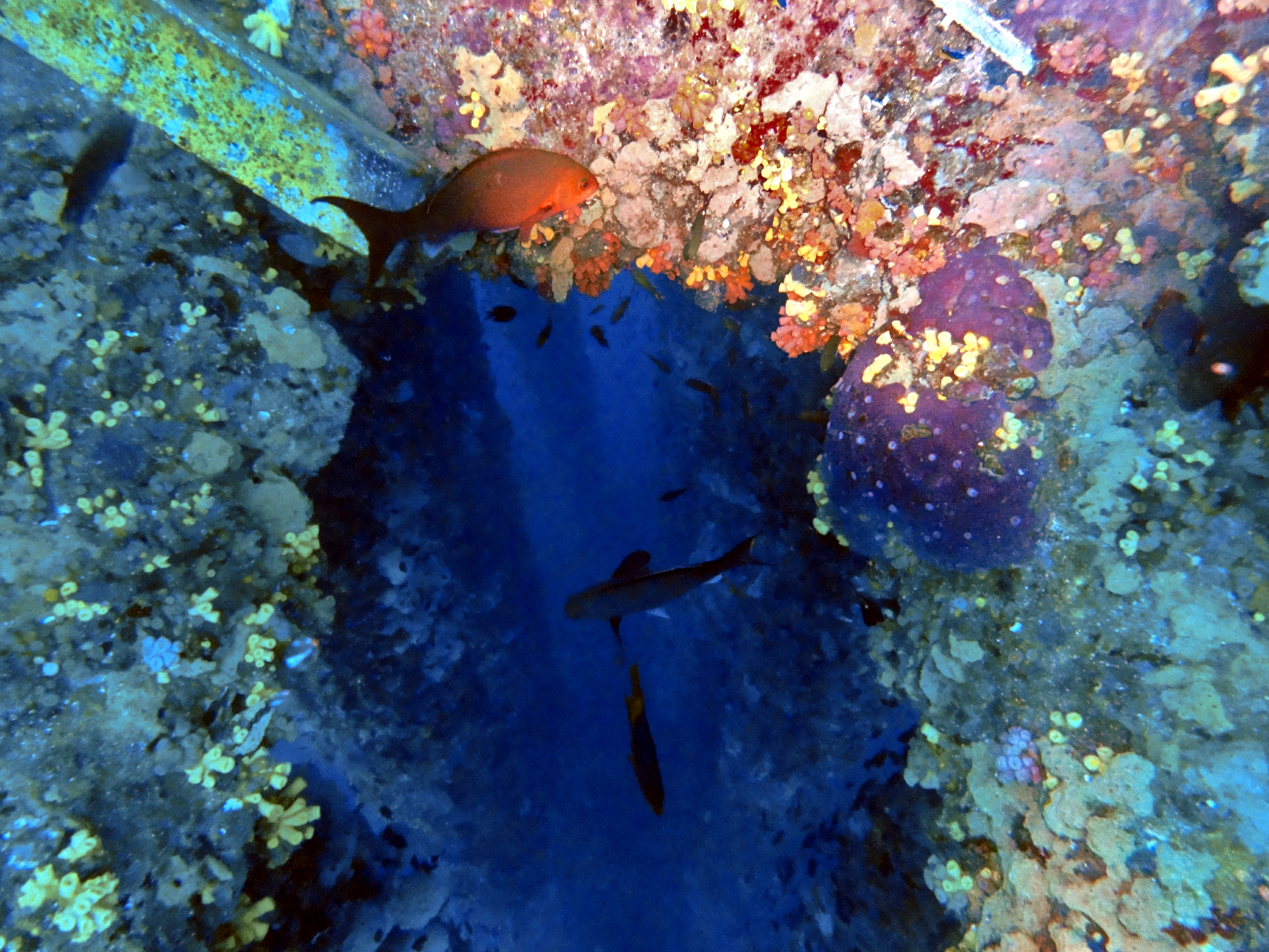 Peeping into the abyss