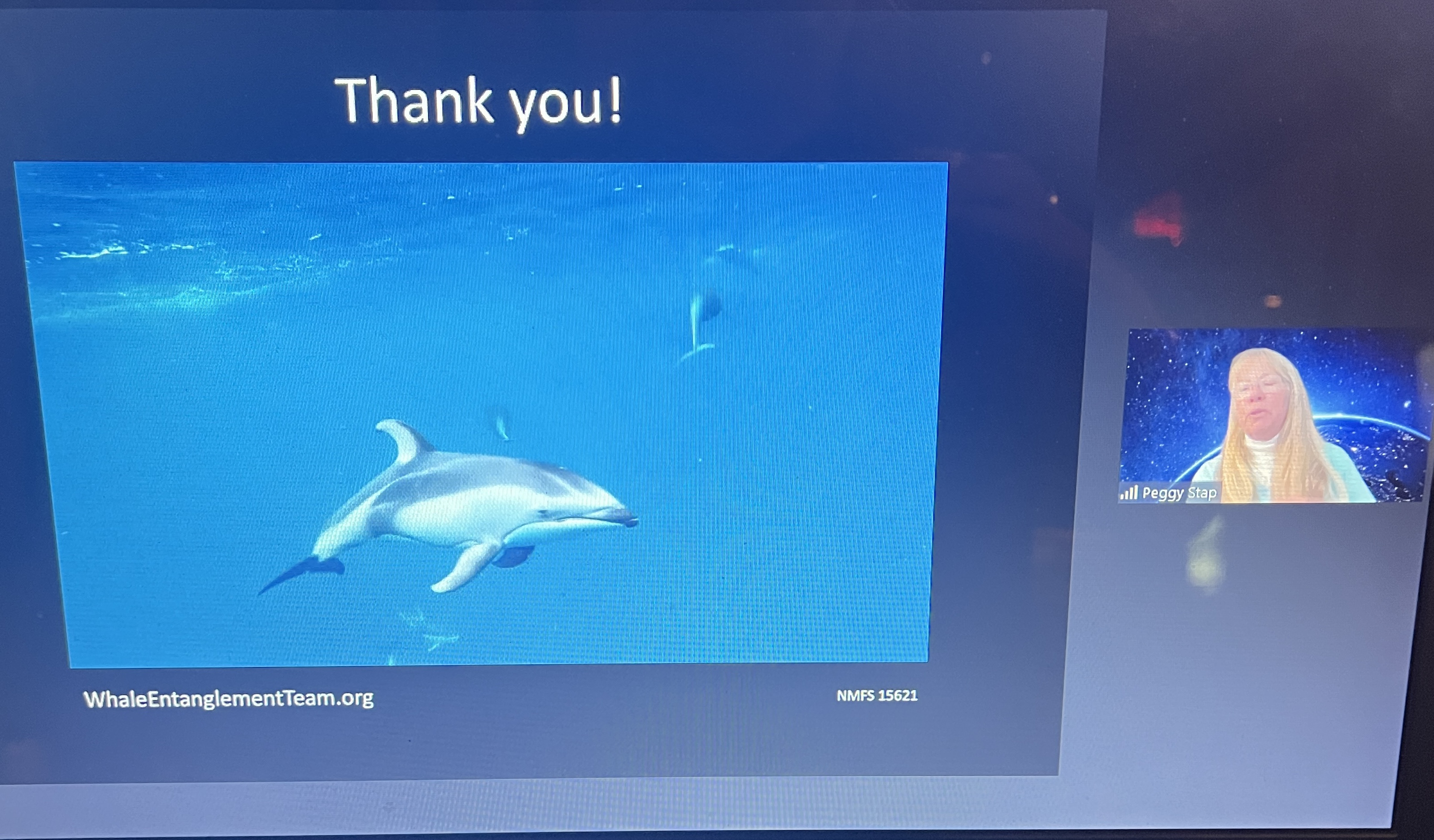 Peggy Stap from the Whale Entanglement Team