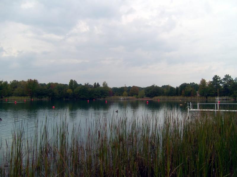 PIC_0365_1