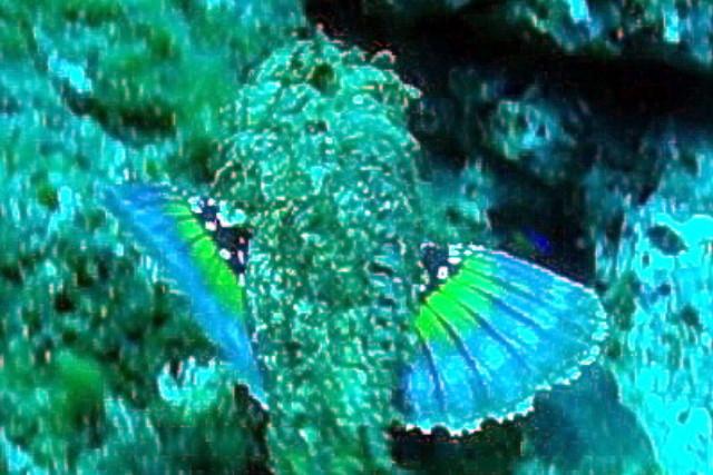 PIC_0901-002_1