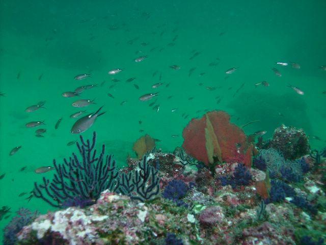 PICT0117