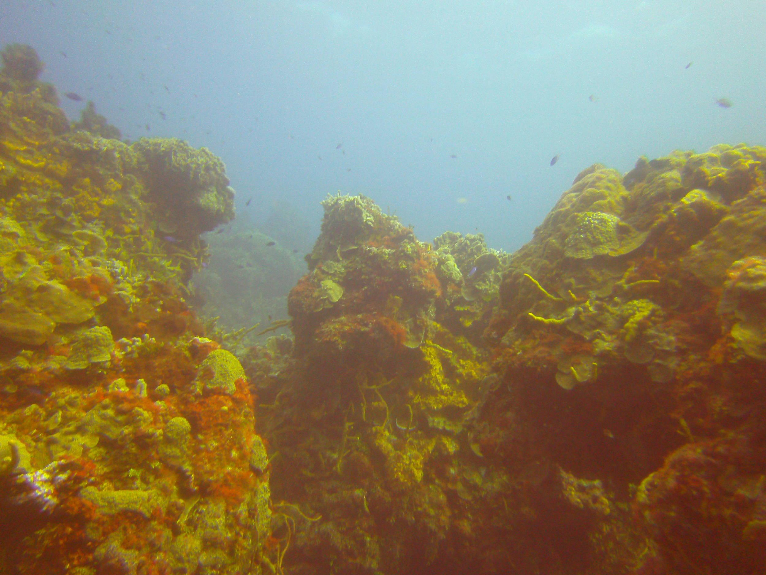 PICT0353