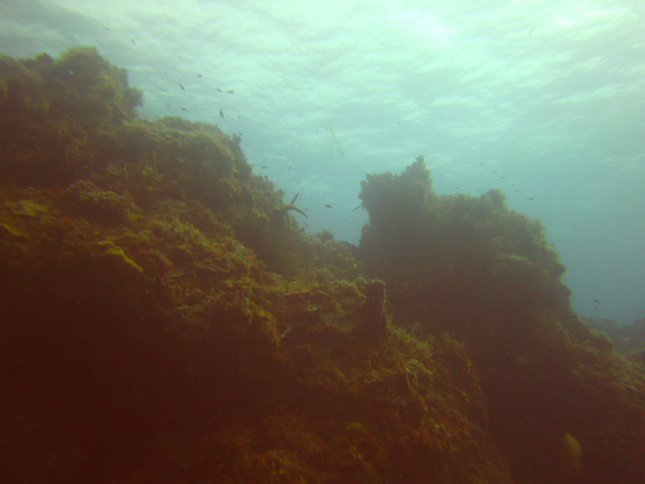 PICT0360