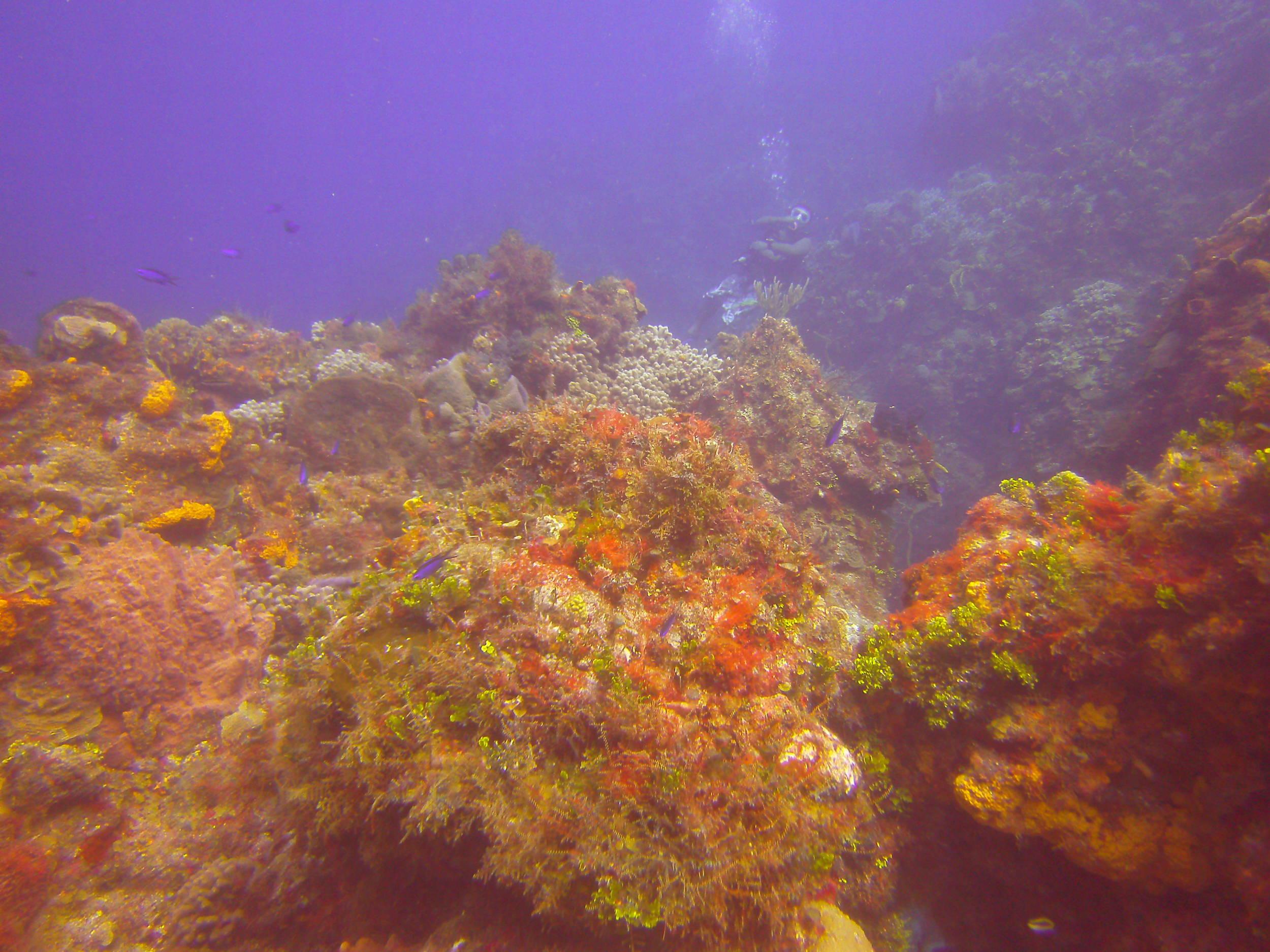 PICT0385