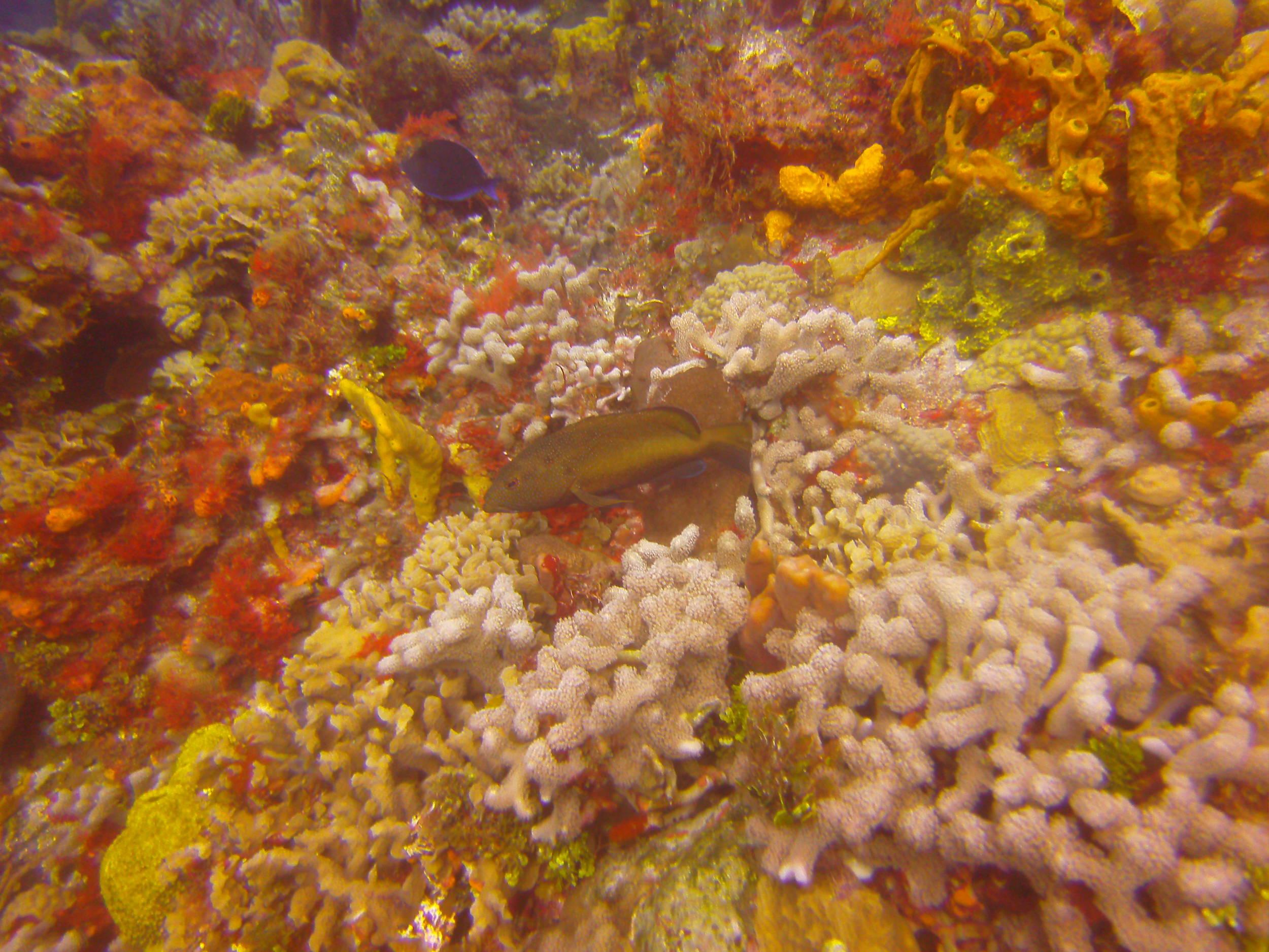 PICT0388