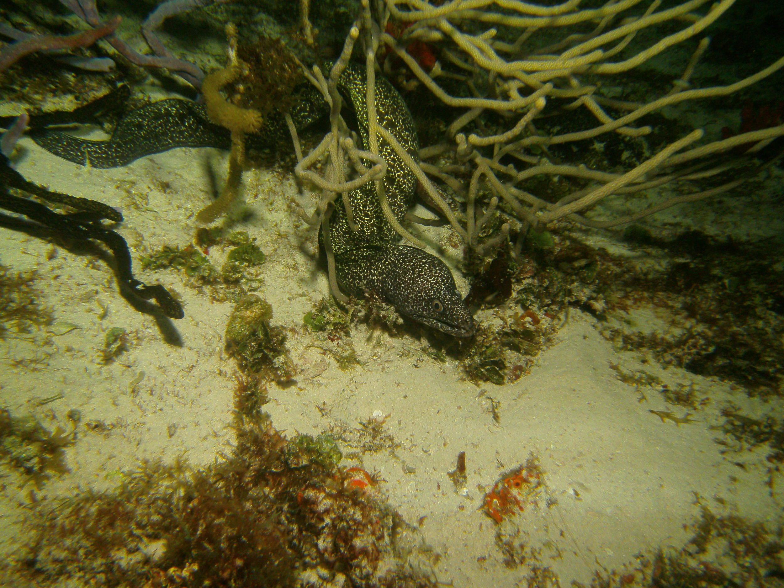 PICT0785