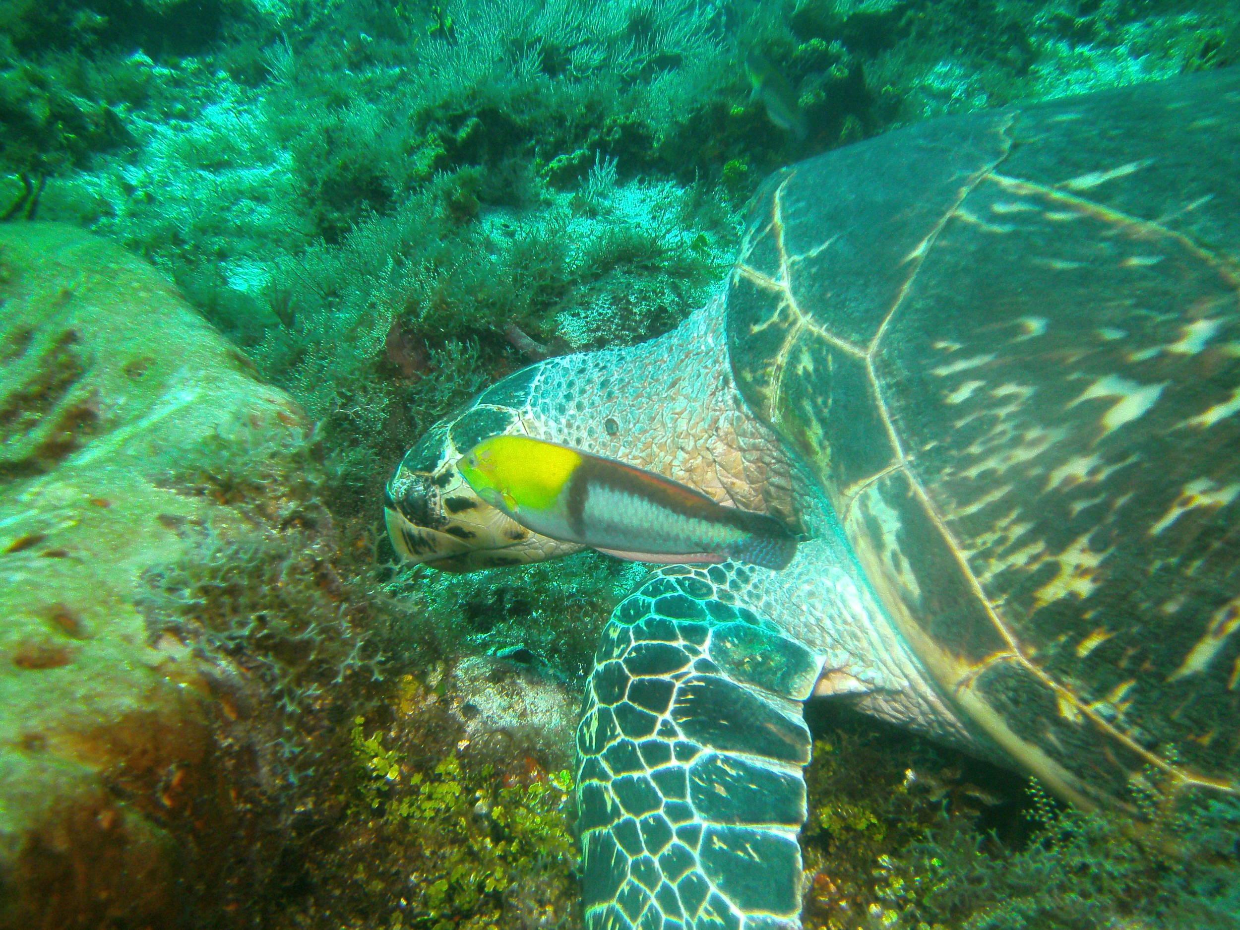 PICT0980