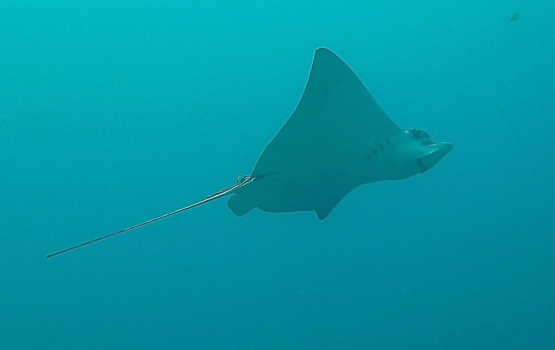 PICT1133_-_Version_2