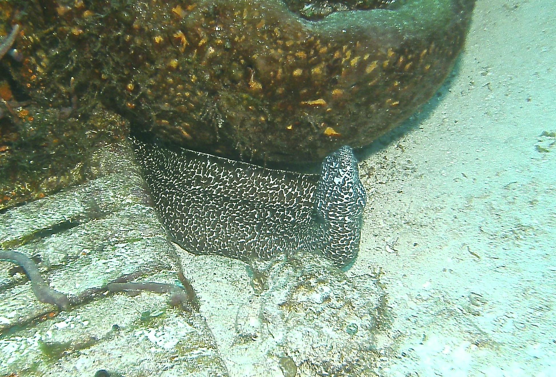 PICT1204_-_Version_3