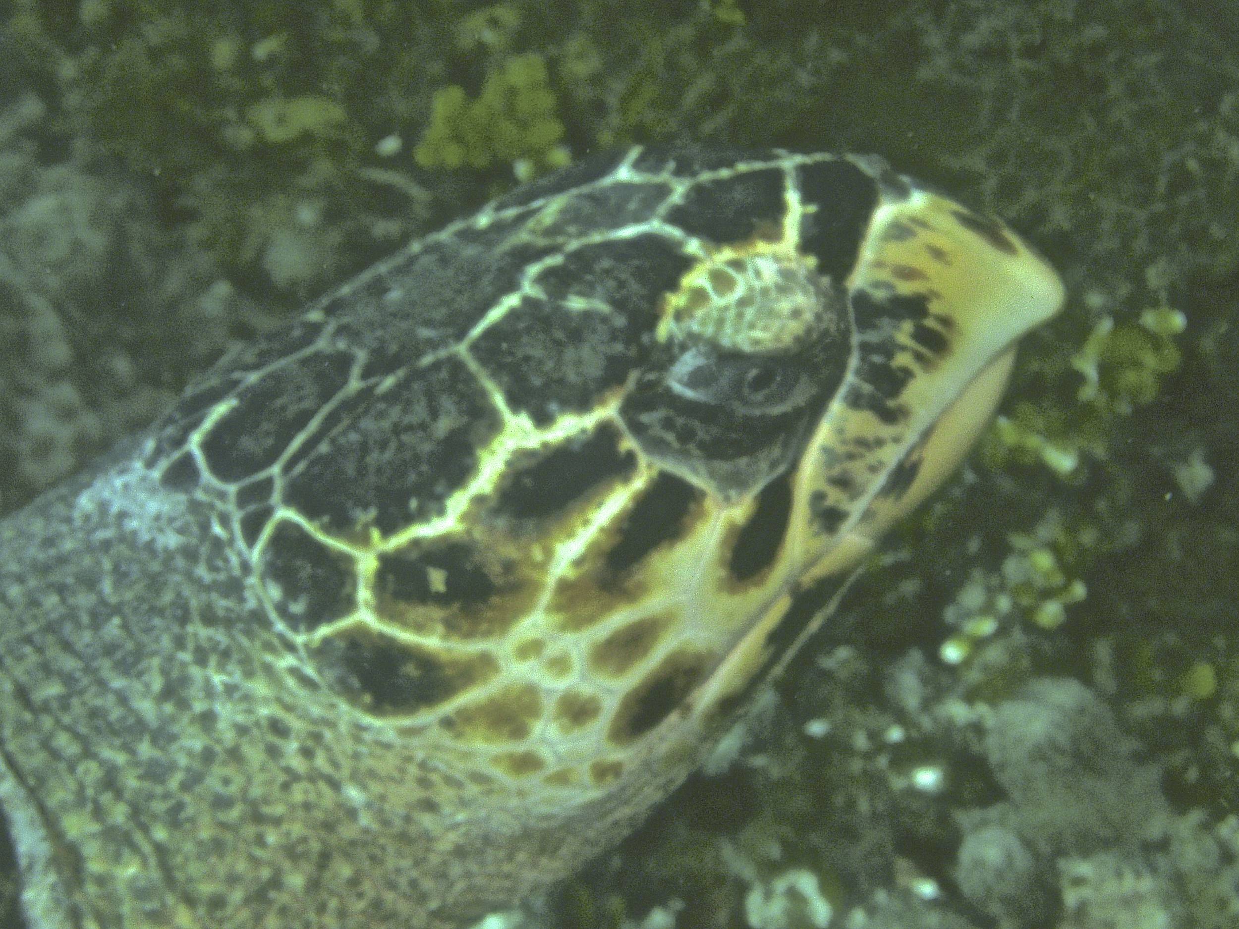 PICT1212_-_Version_2