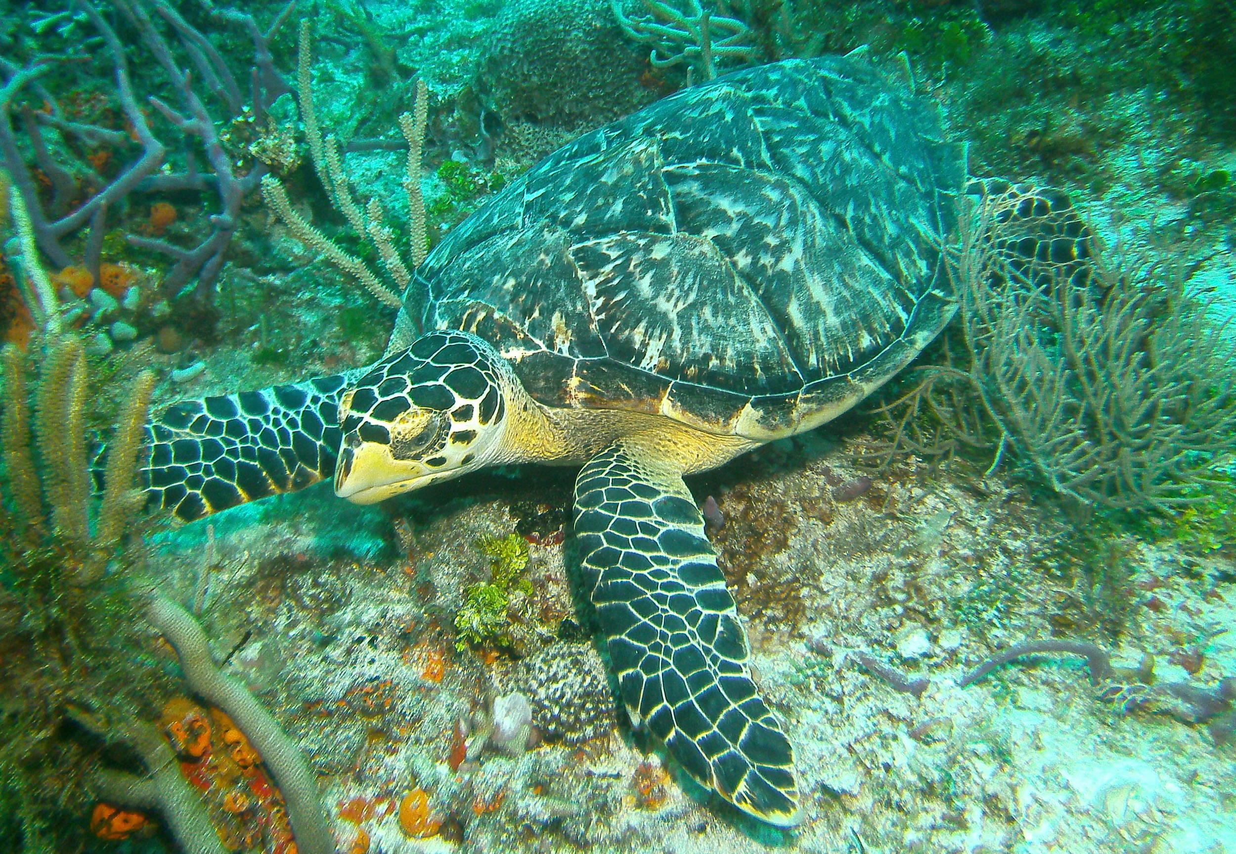 PICT1224_-_Version_2