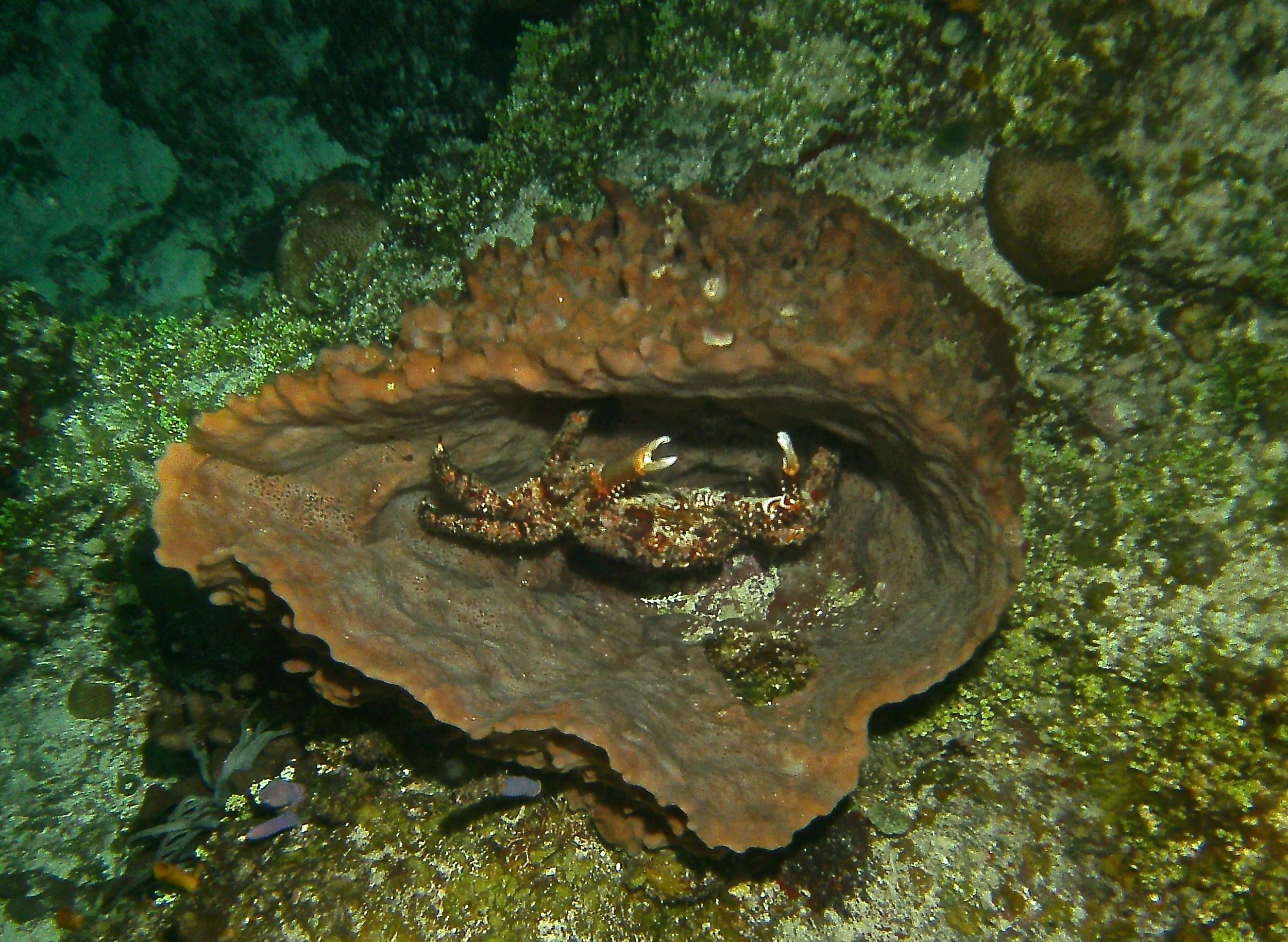 PICT1268_-_Version_2