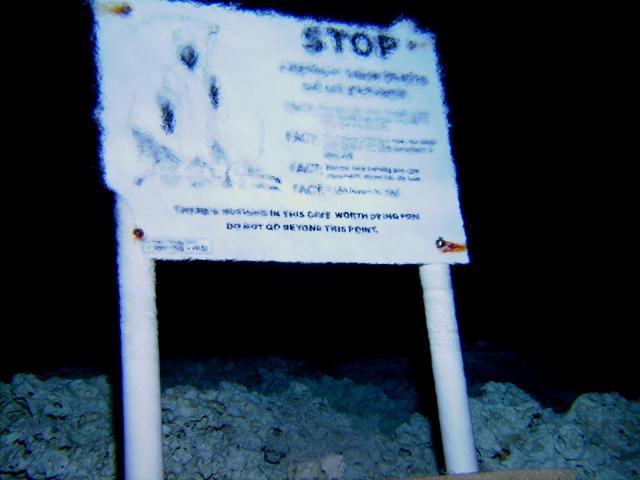 Picture 20 - Chac Mool halocline