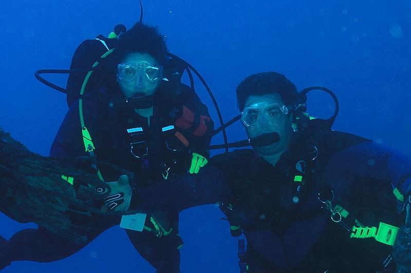 Pink Diver and Kytnut