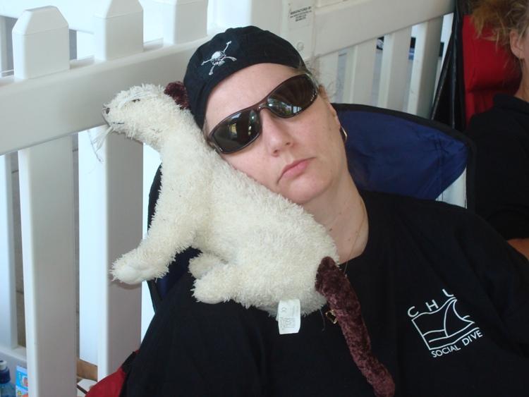 Pink Pirate takes a cat nap!