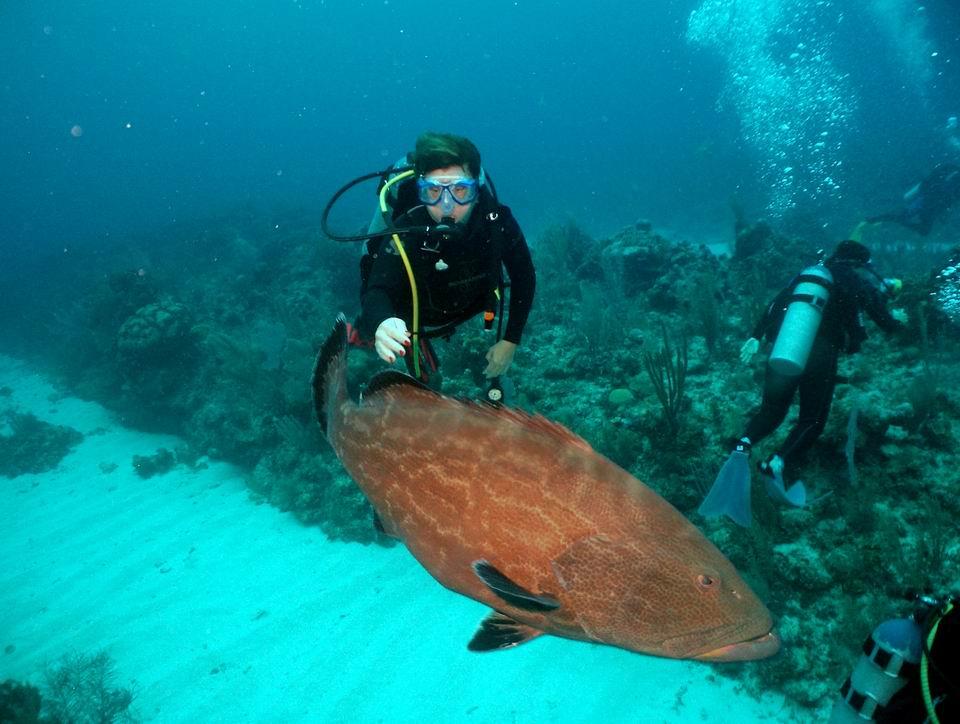 Playing with the puppies