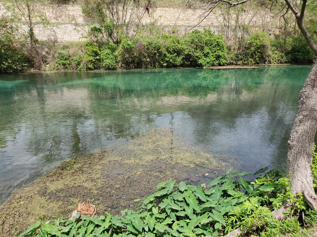 Post Weekend Calm - Comal 04