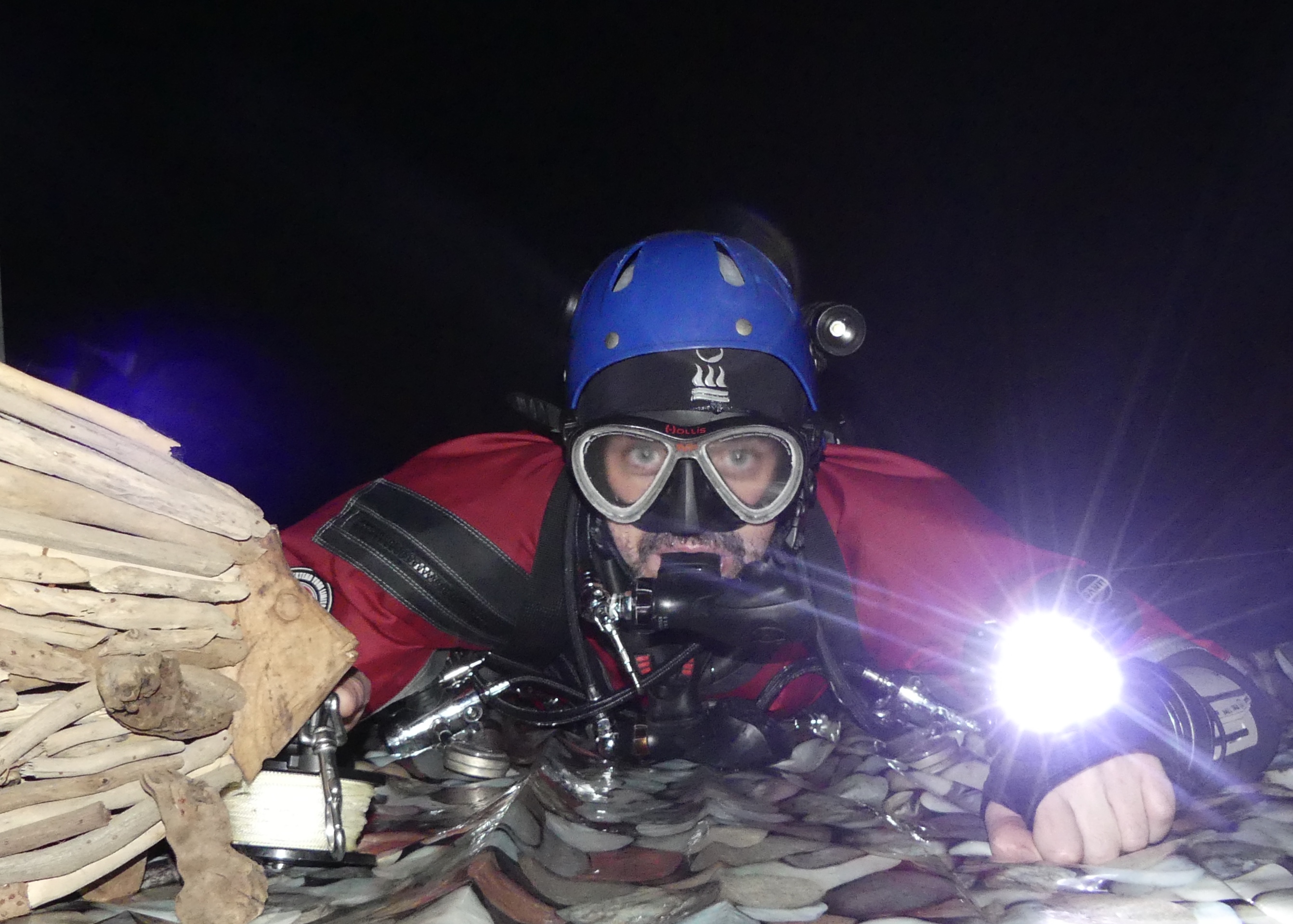 Rare fish discovered