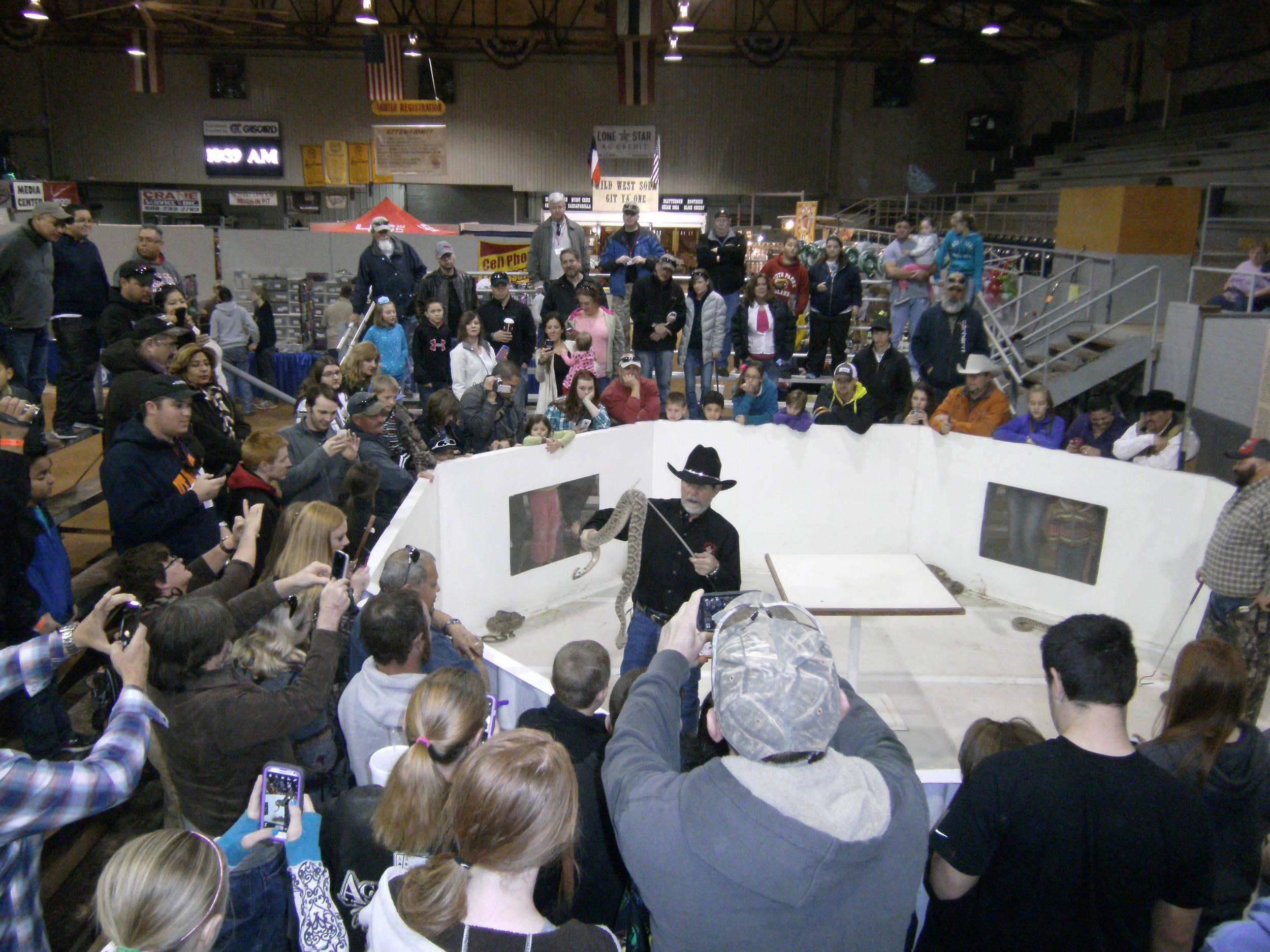 Rattlesnake lecture / handling demo