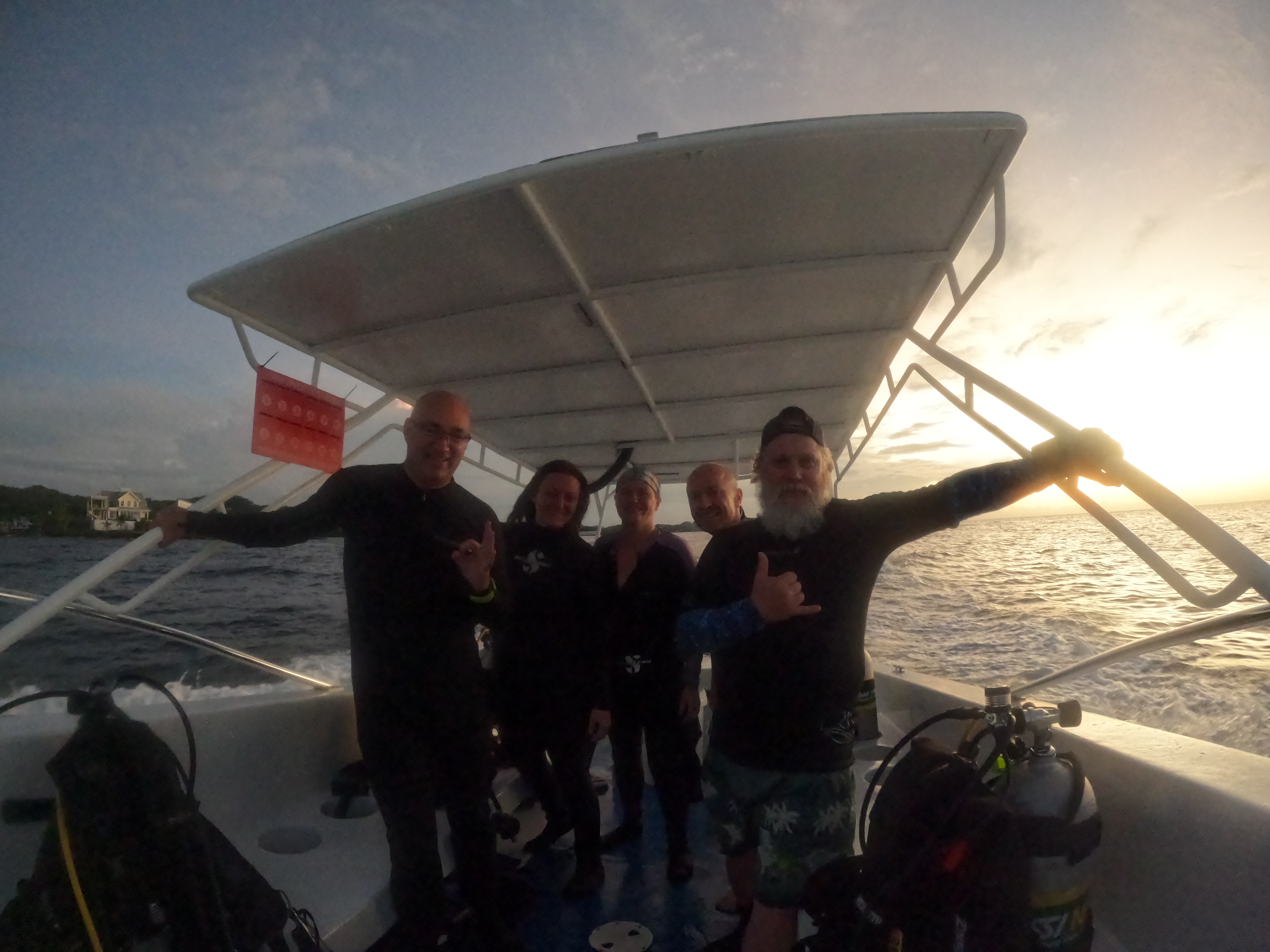 Ready for a Night Dive