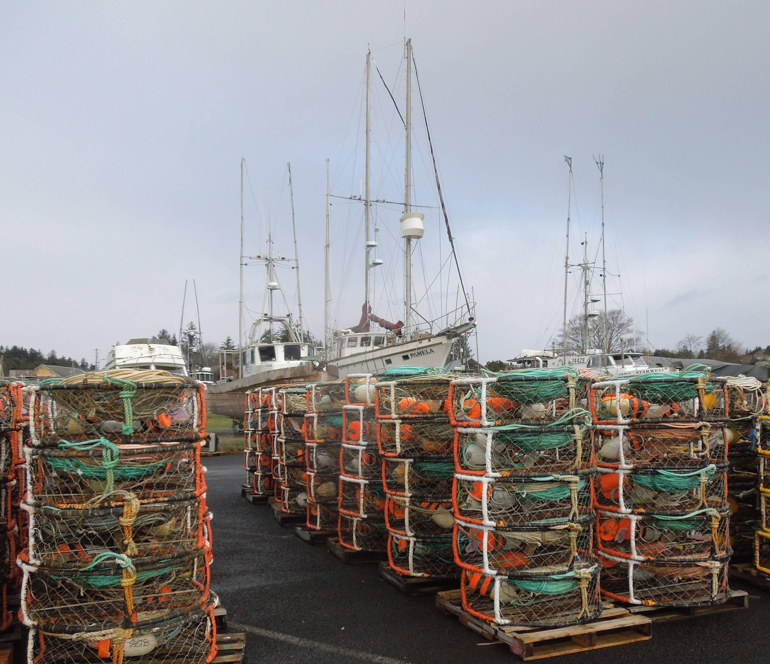 ready for crabbing
