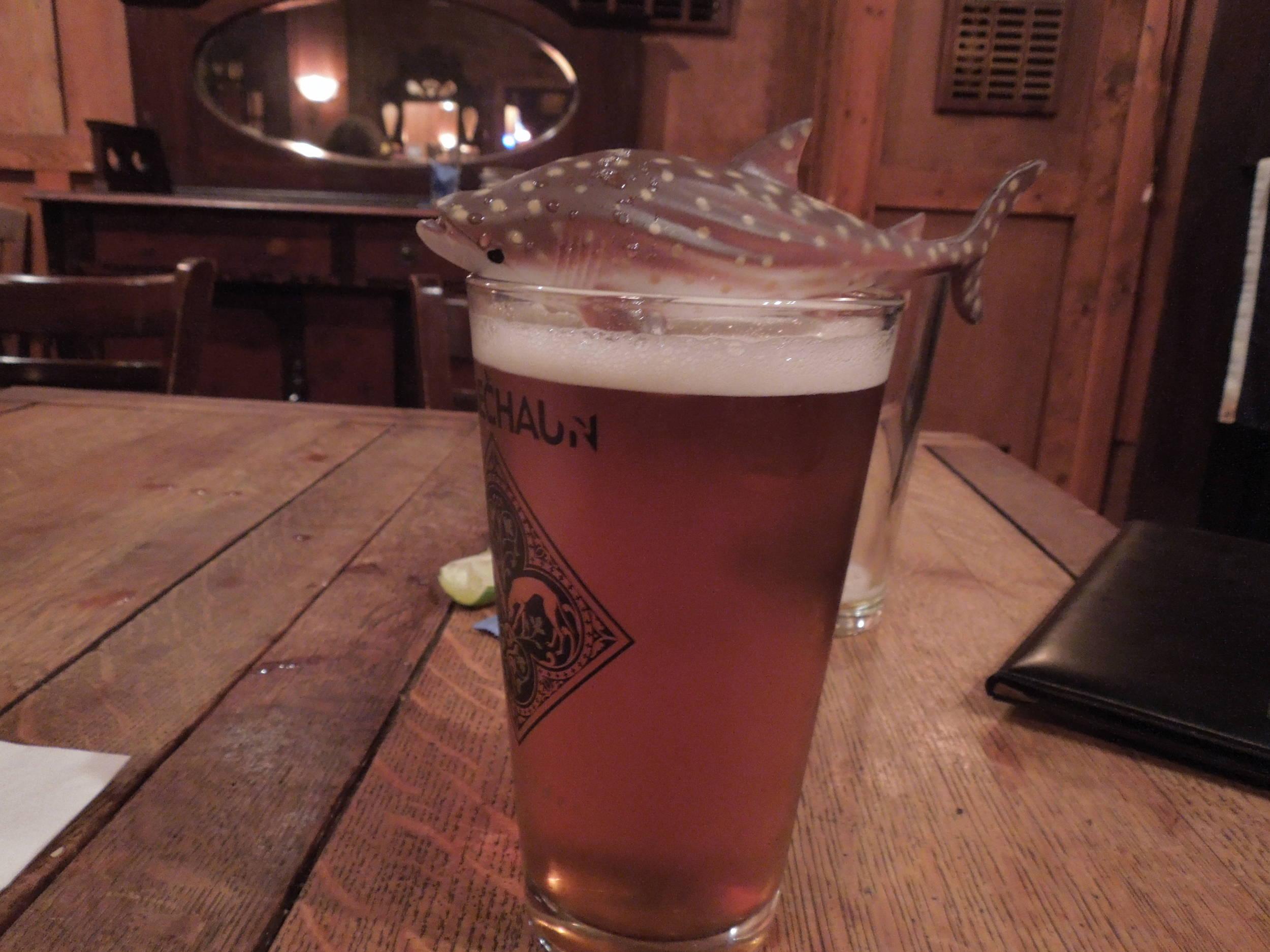 ready to get his gills wet