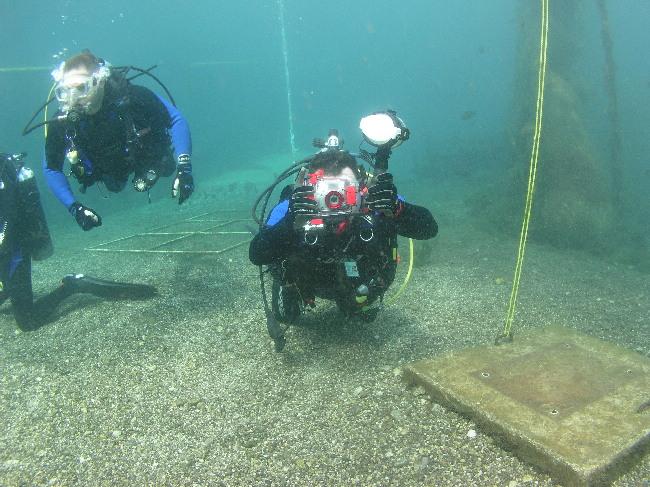 Really Unique Sunset