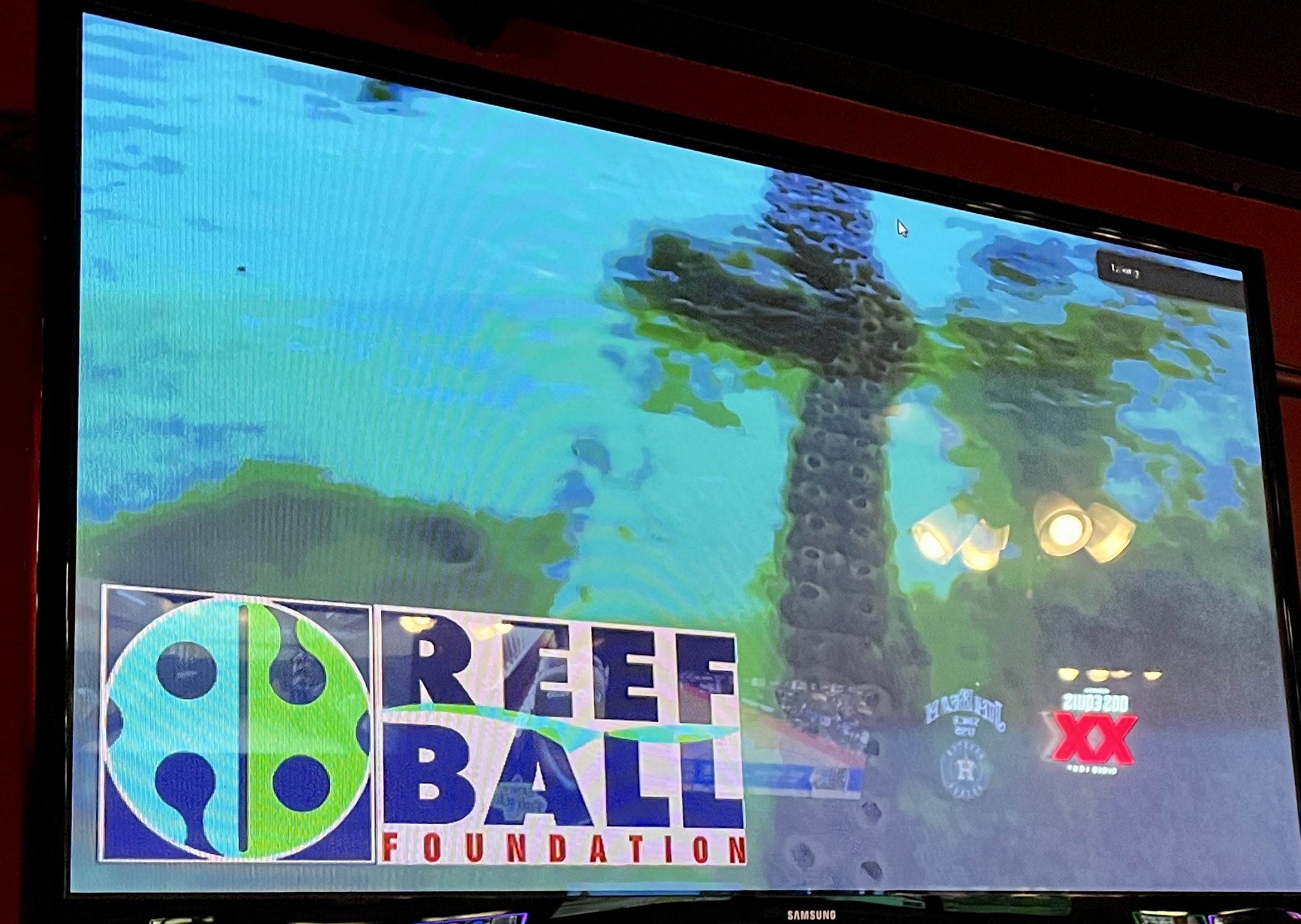Reef Ball Foundation