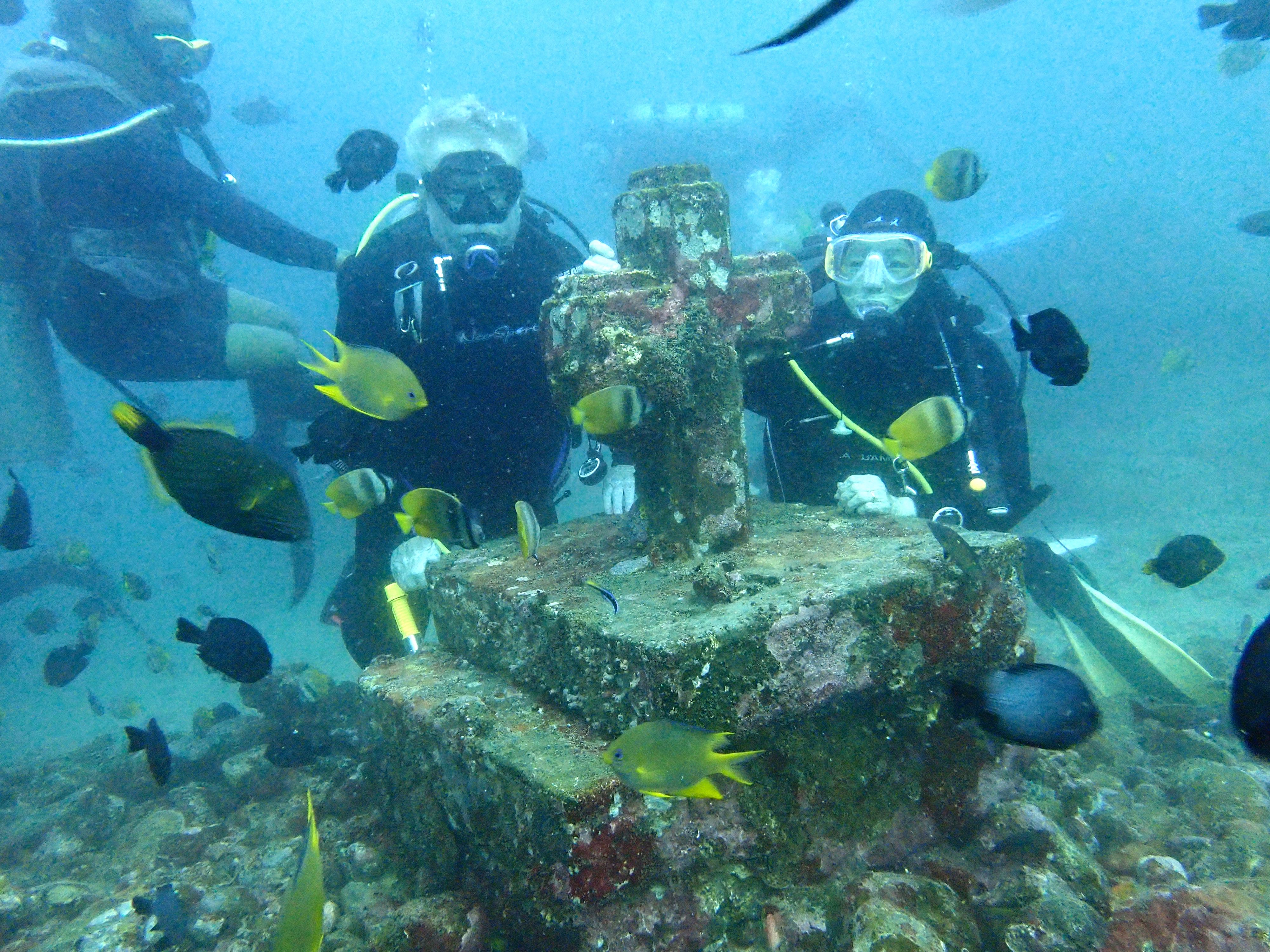 Reefhound and New Adventure