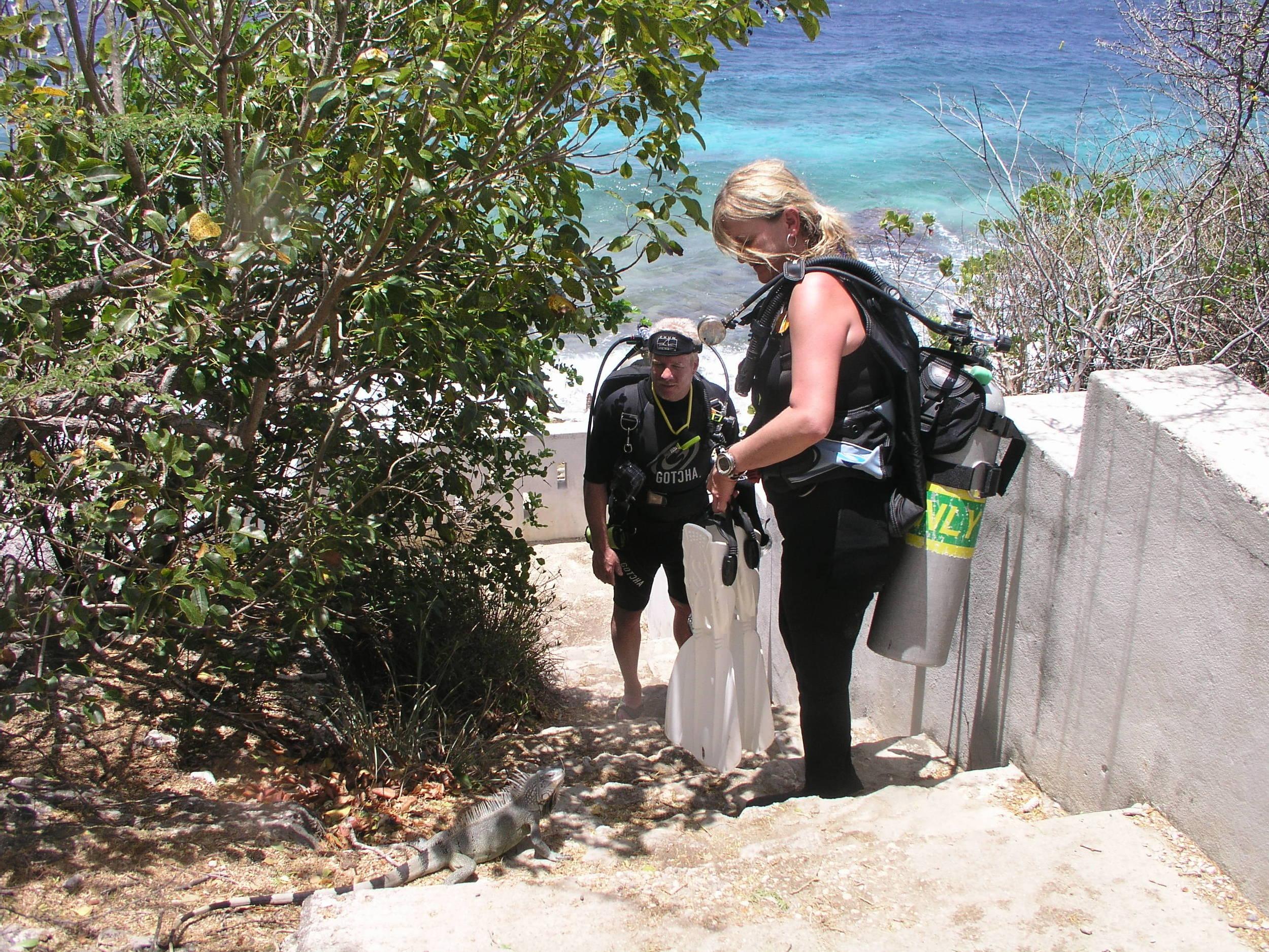 ReefHound and watermonkee have a new friend