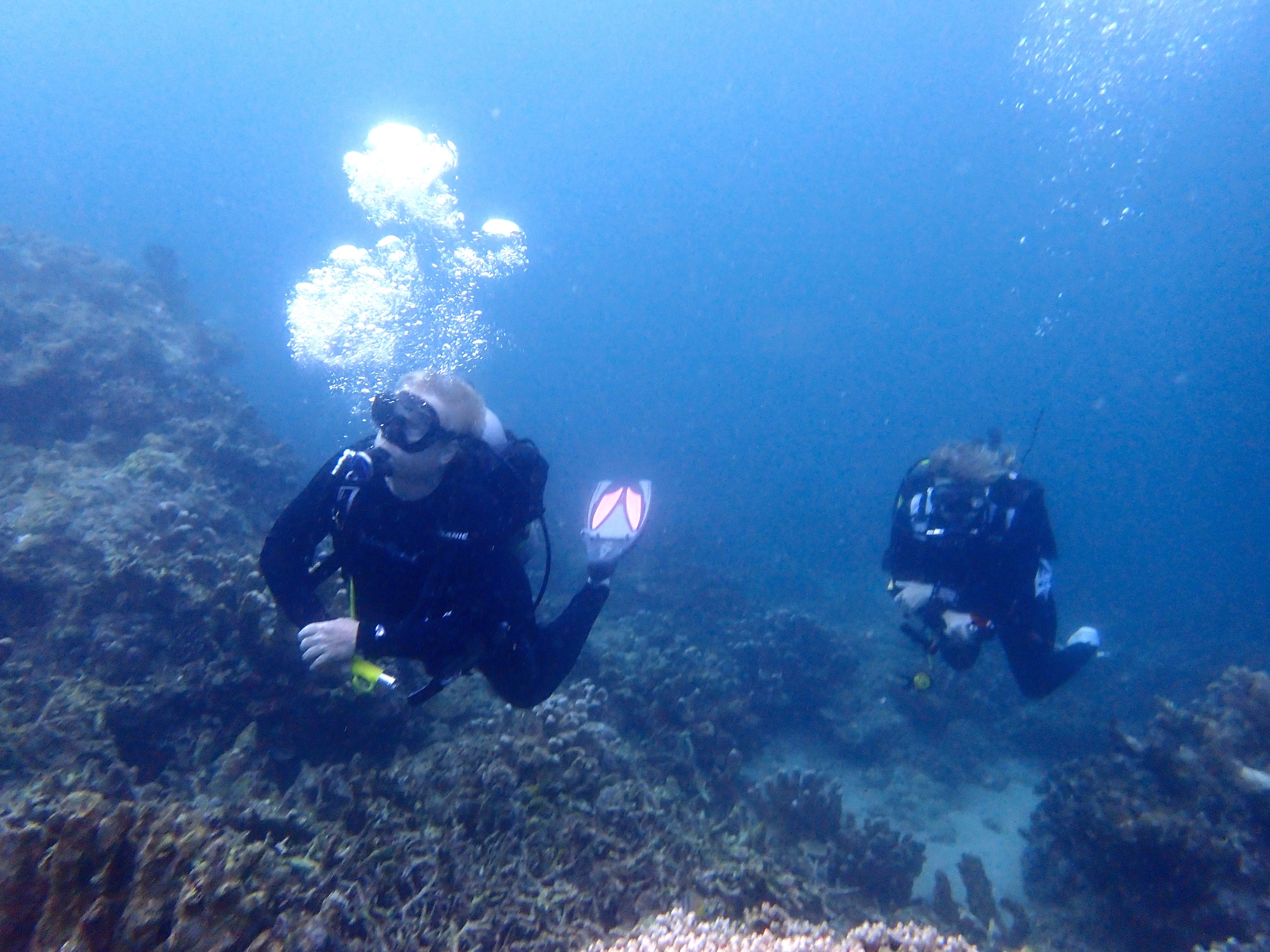 Reefhound and Watermonkee