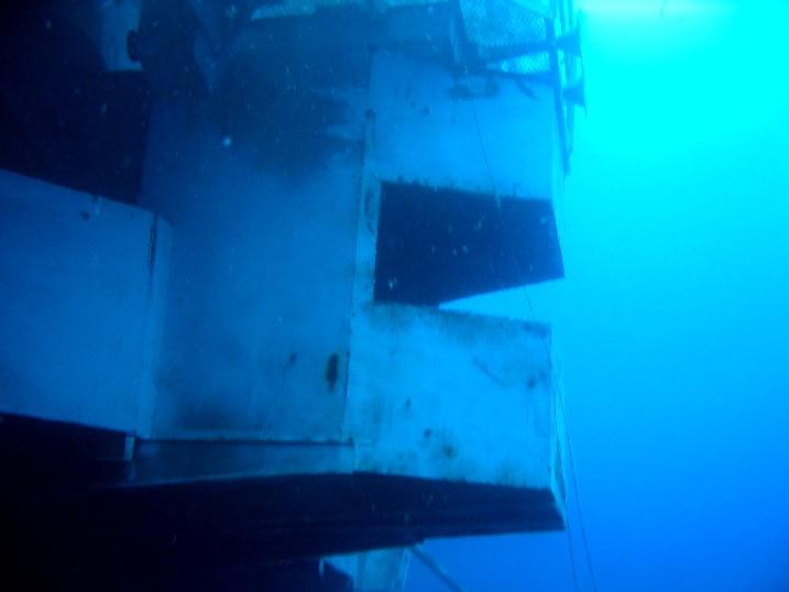 Reefhound learns to play the alpenhorn