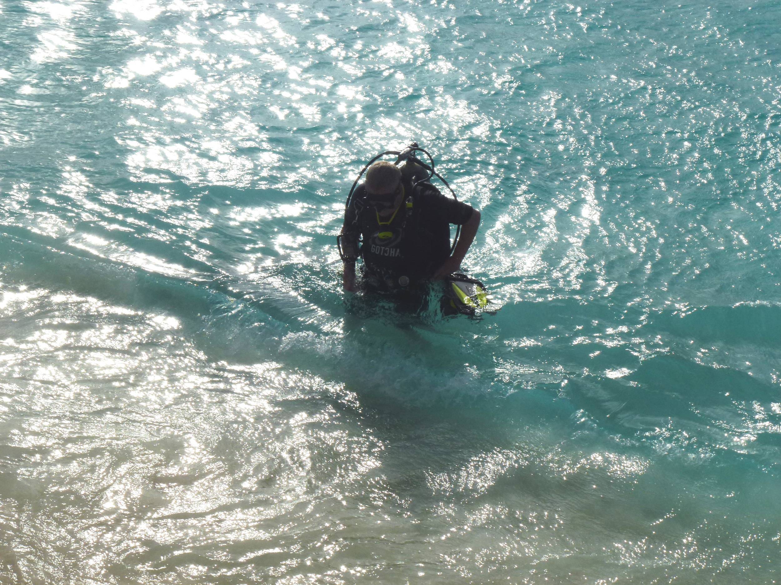 ReefHound_at_Bachelor_Beach