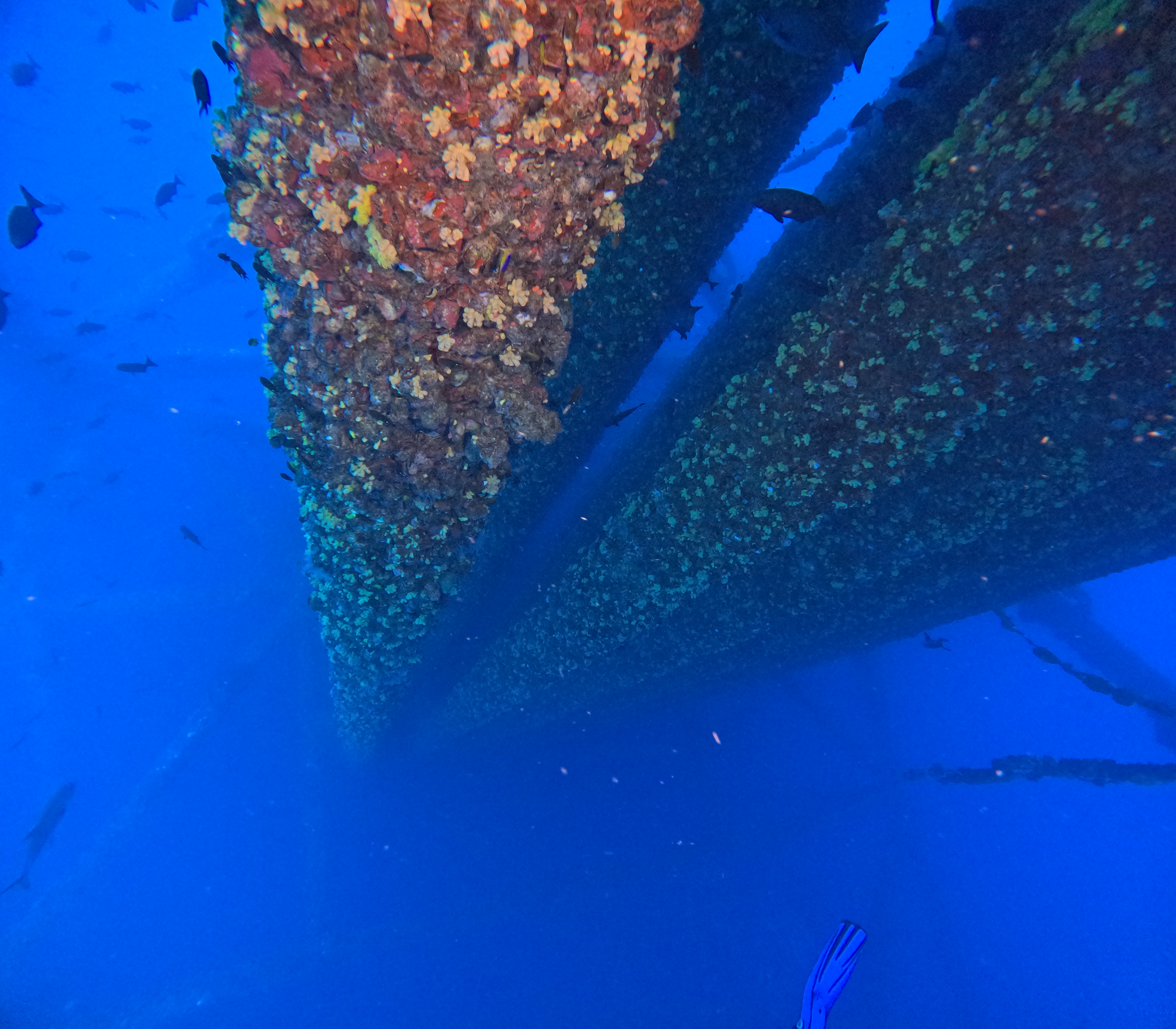Rig Dive looking down