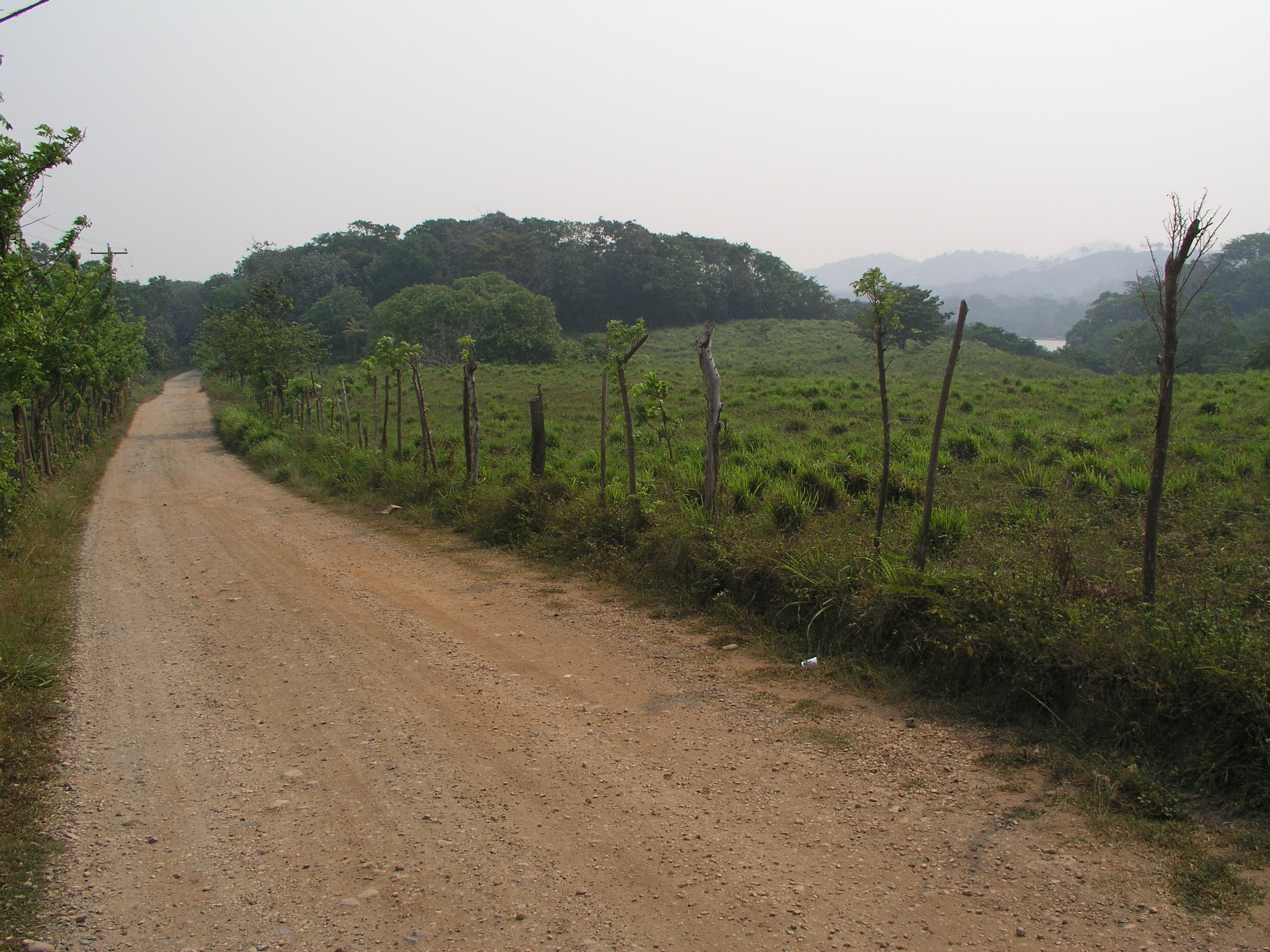 Roatan 2005 reupload