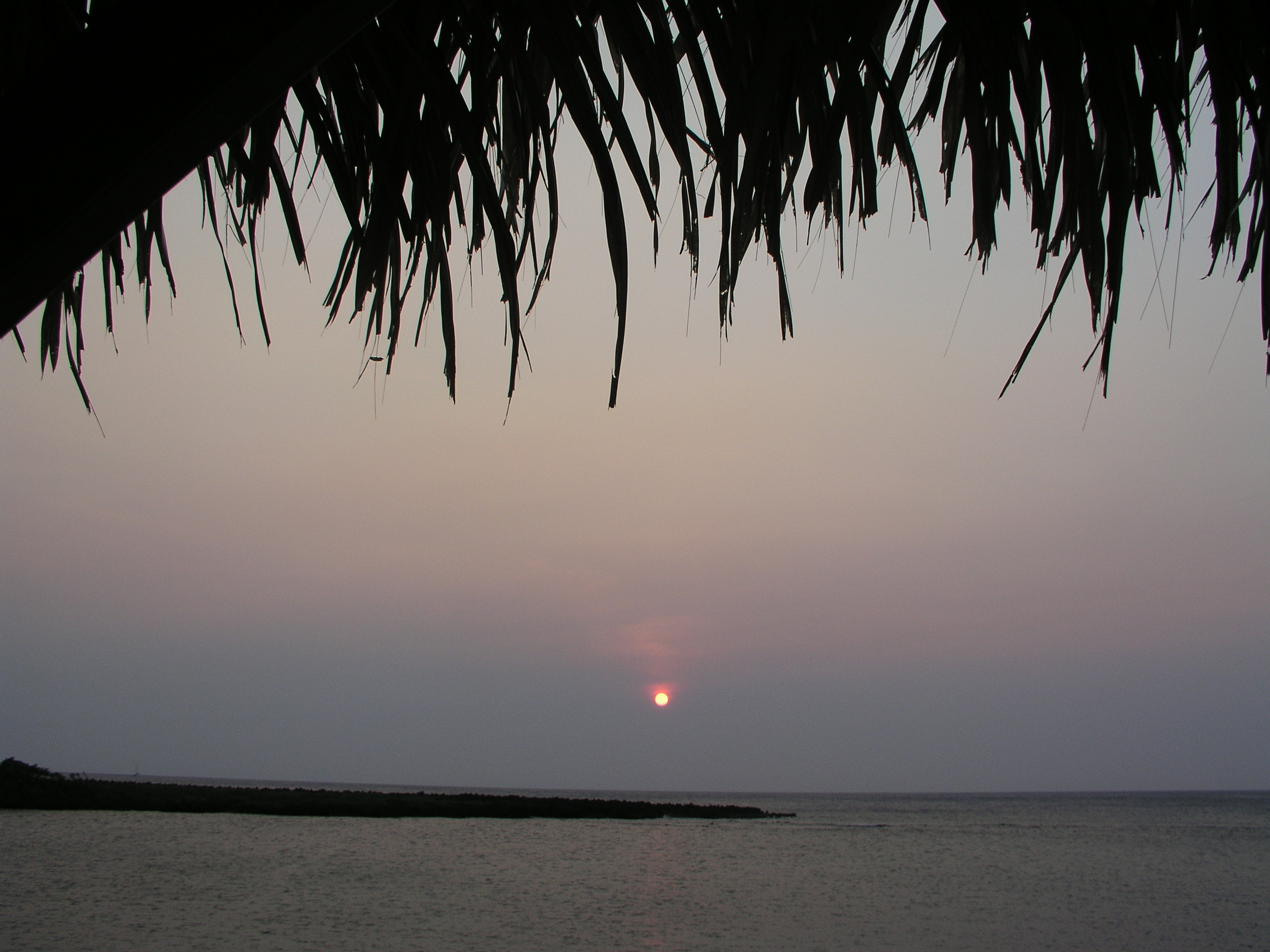 Roatan 2005 reupload