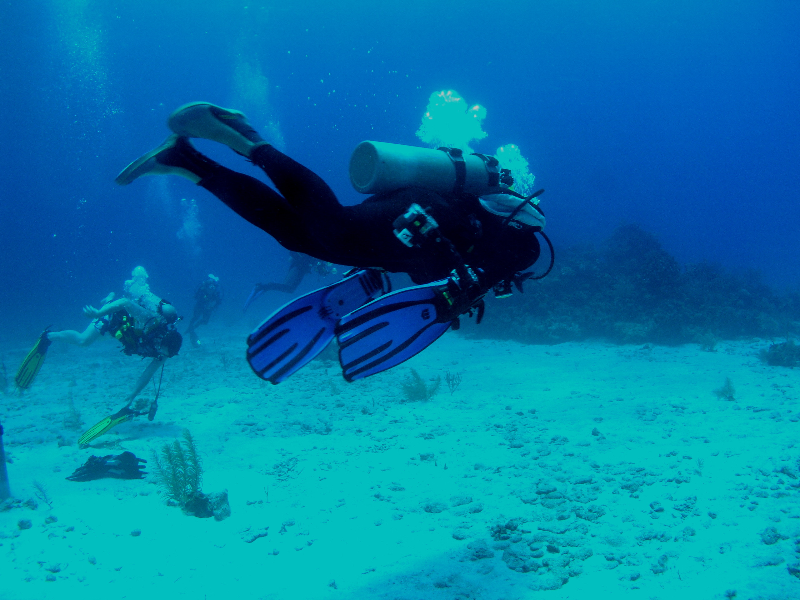 Roatan 2005 reupload