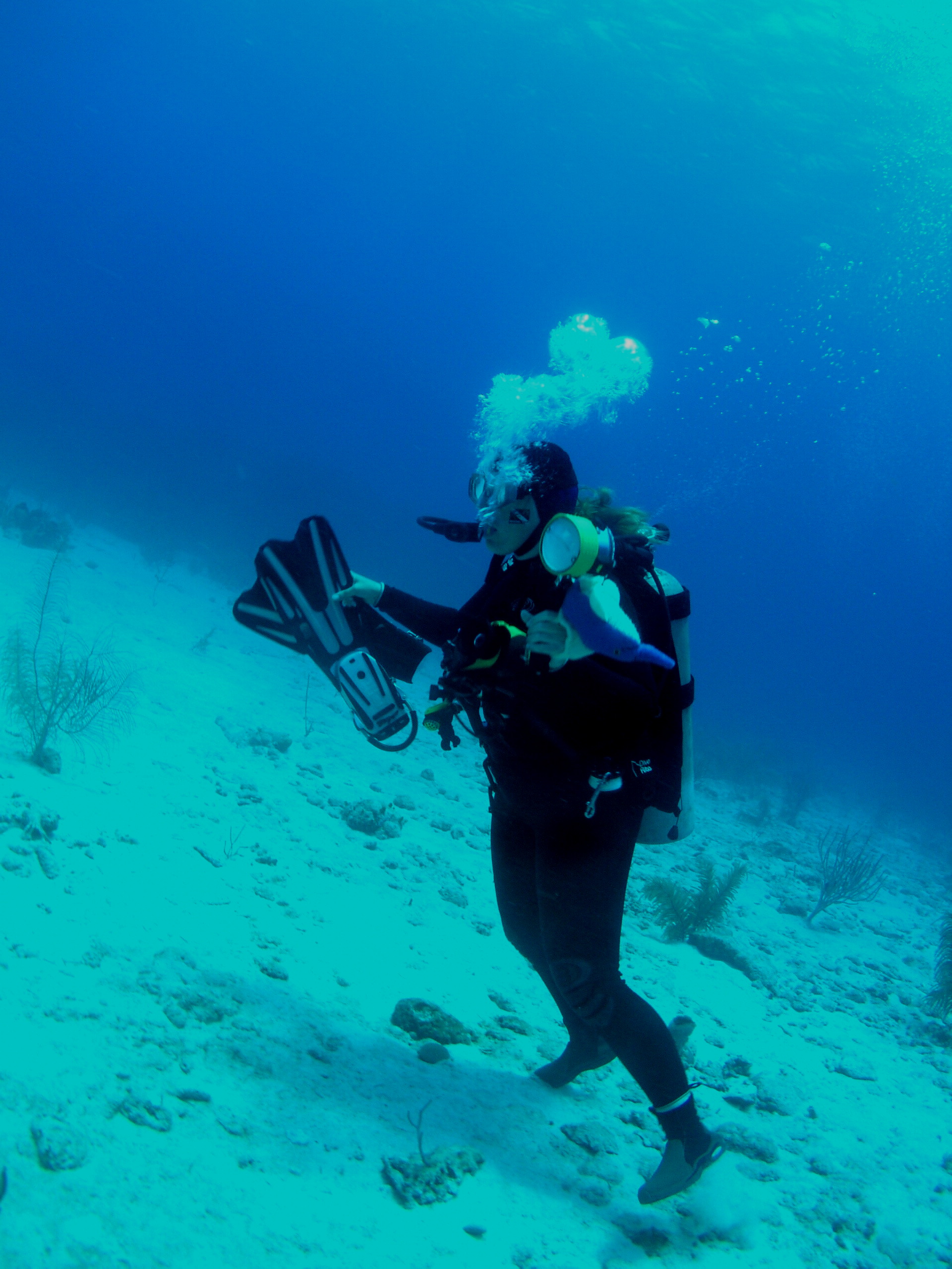 Roatan 2005 reupload