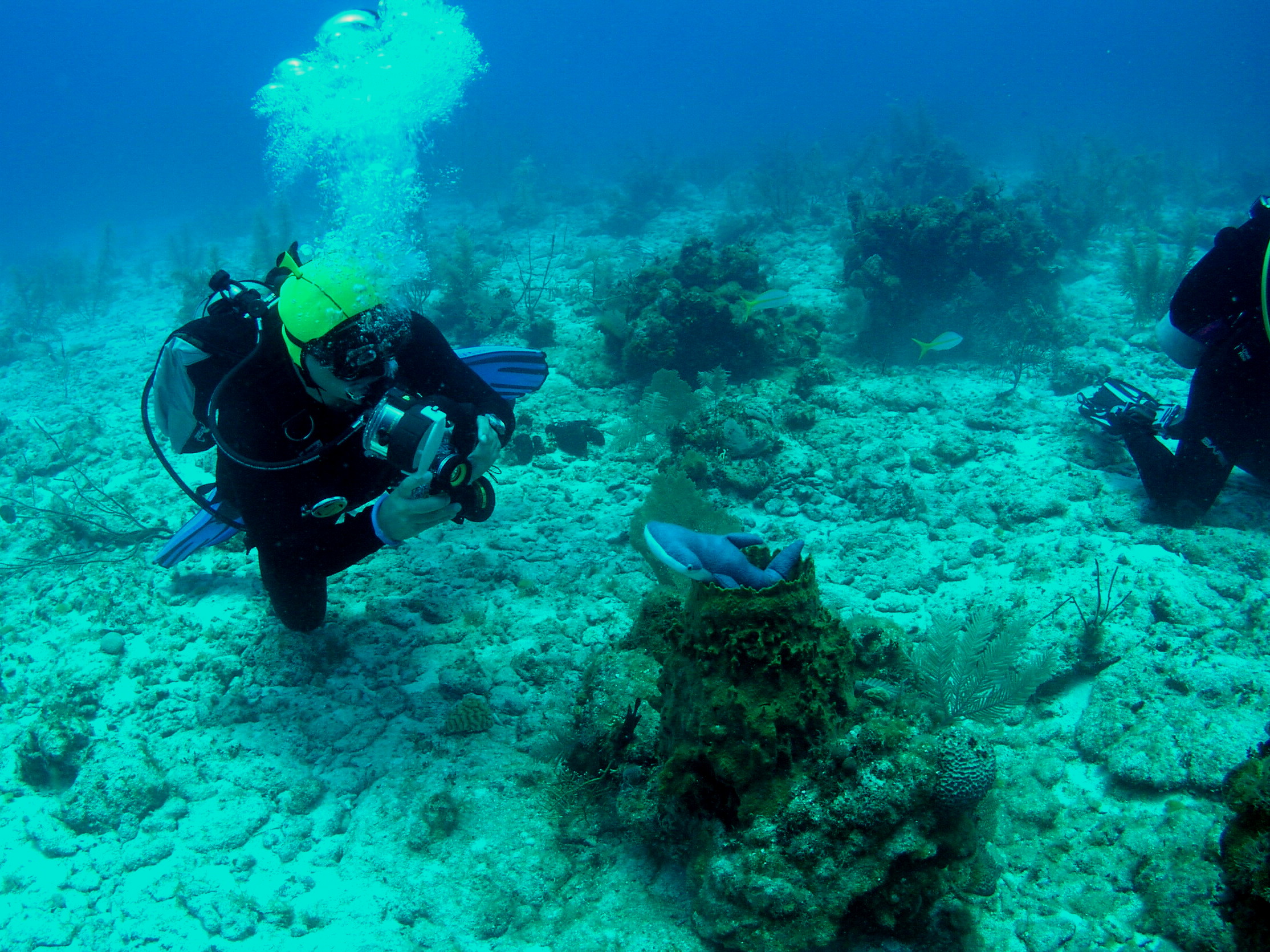 Roatan 2005 reupload