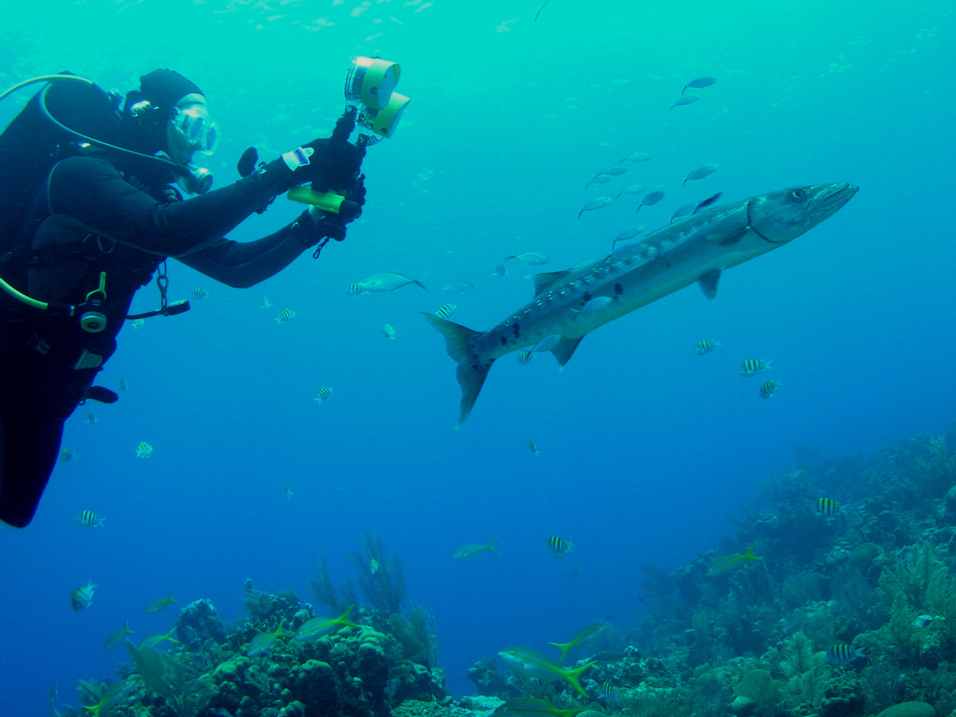 Roatan 2005 reupload