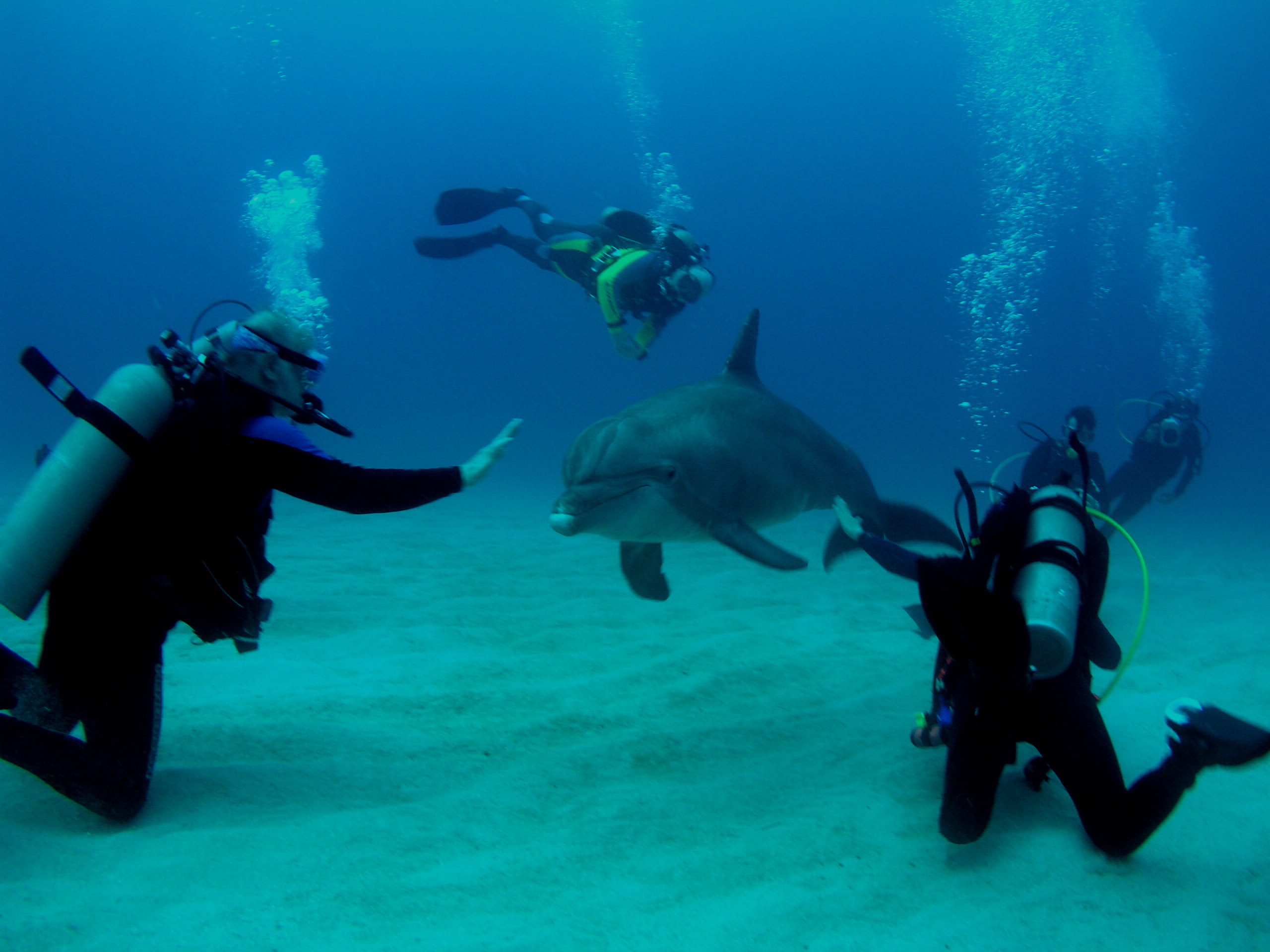 Roatan 2005 reupload