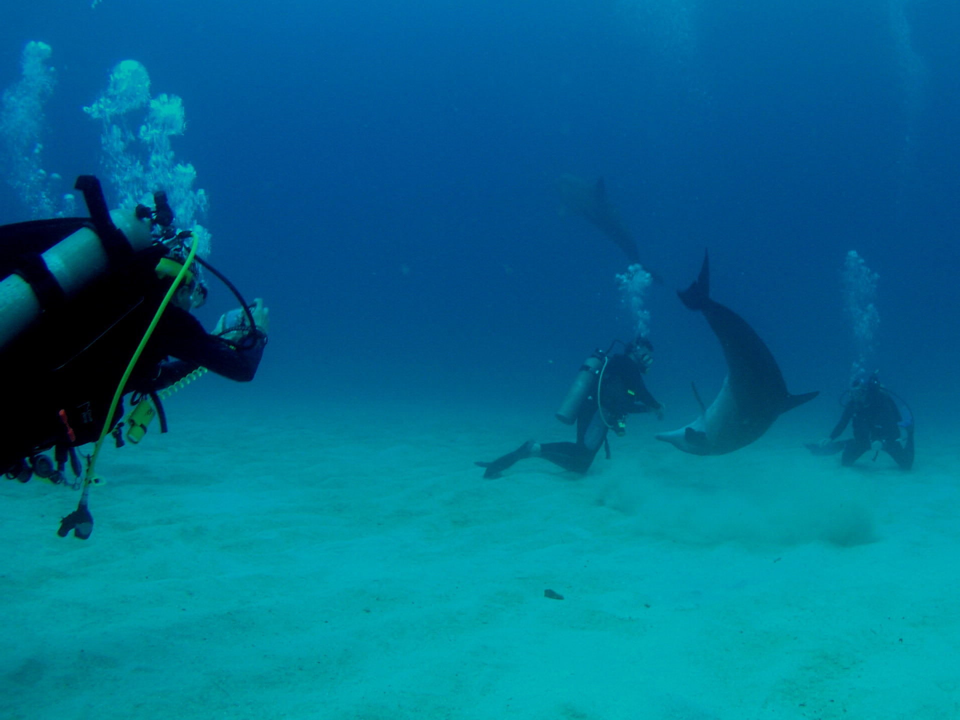 Roatan 2005 reupload