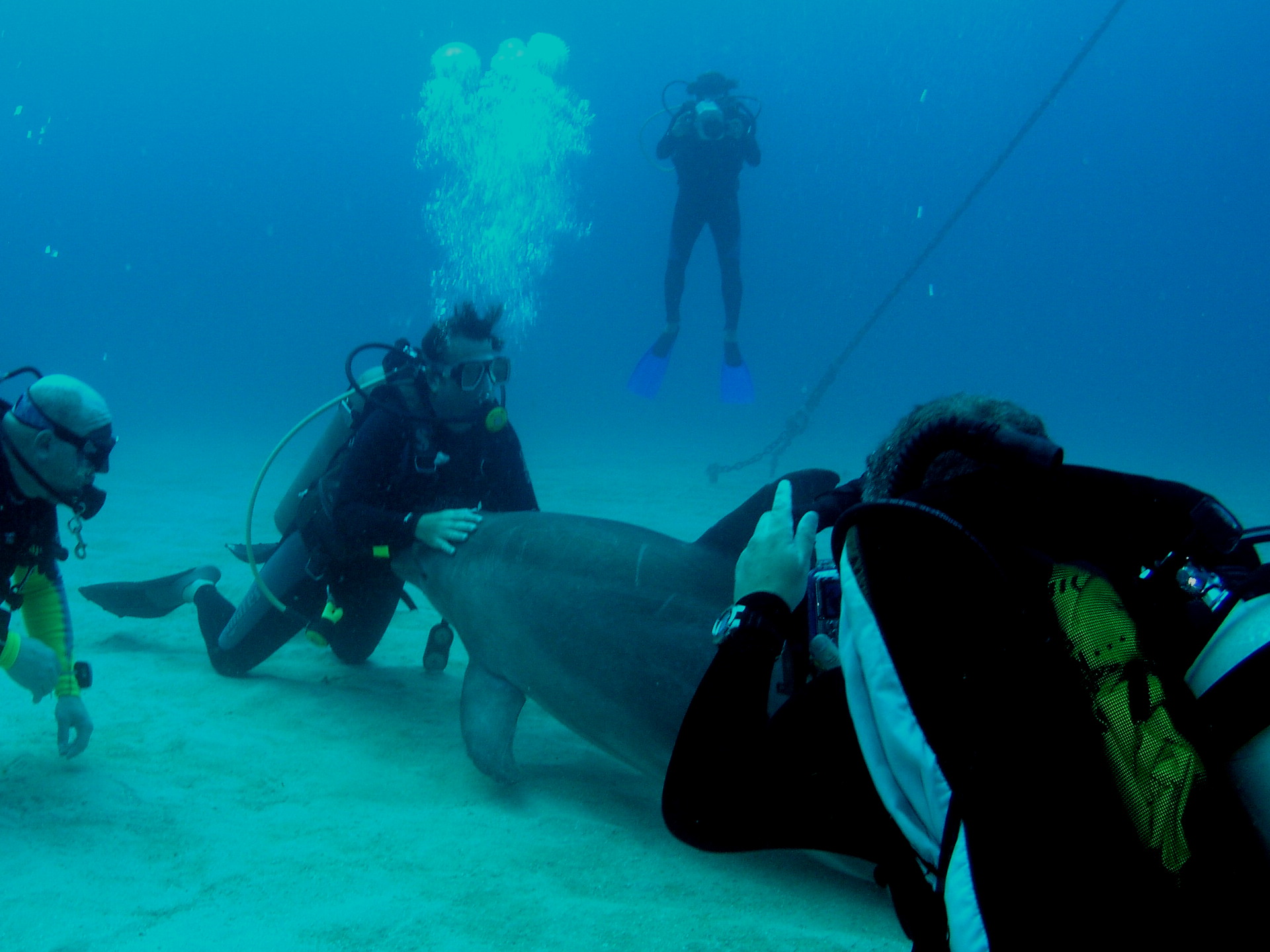 Roatan 2005 reupload