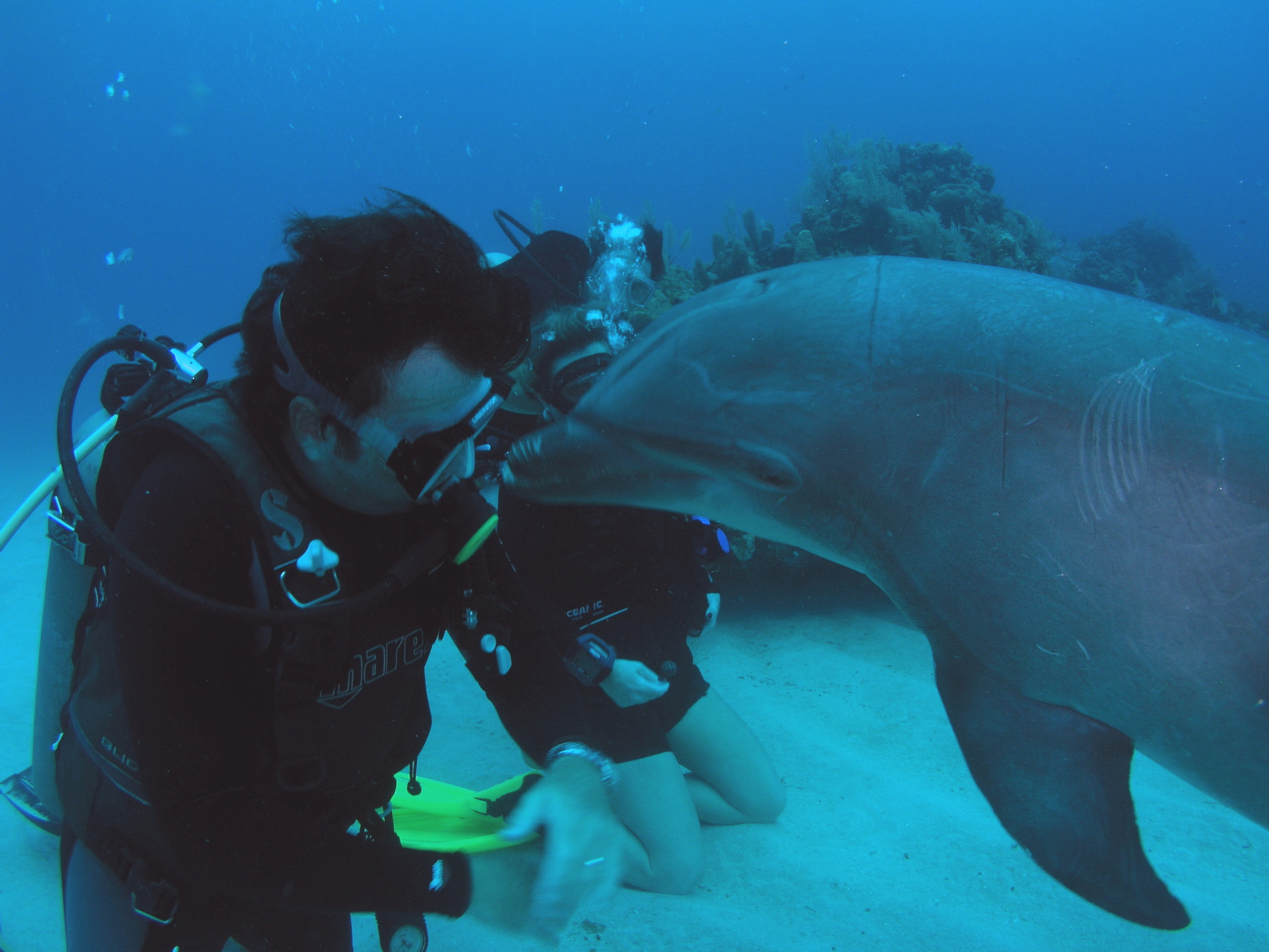 Roatan 2005 reupload