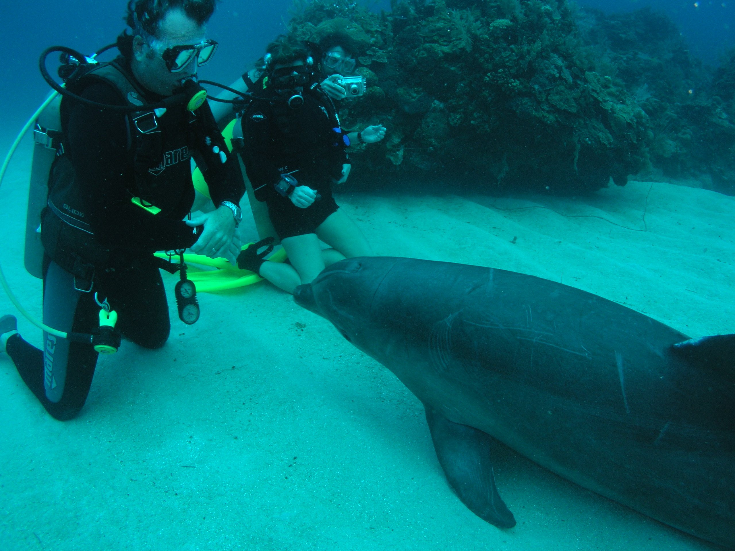 Roatan 2005 reupload